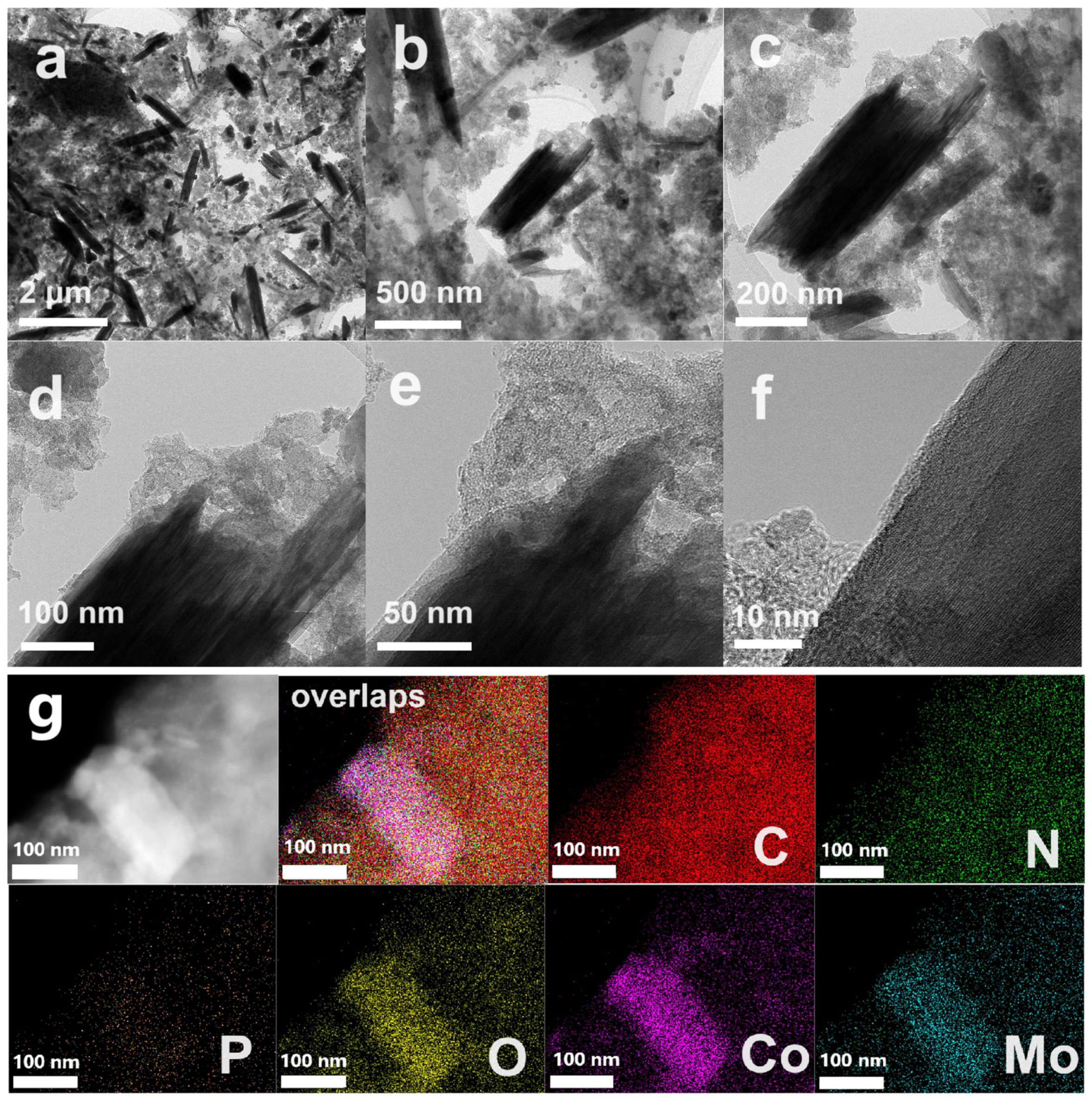 Molecules 29 04953 g001