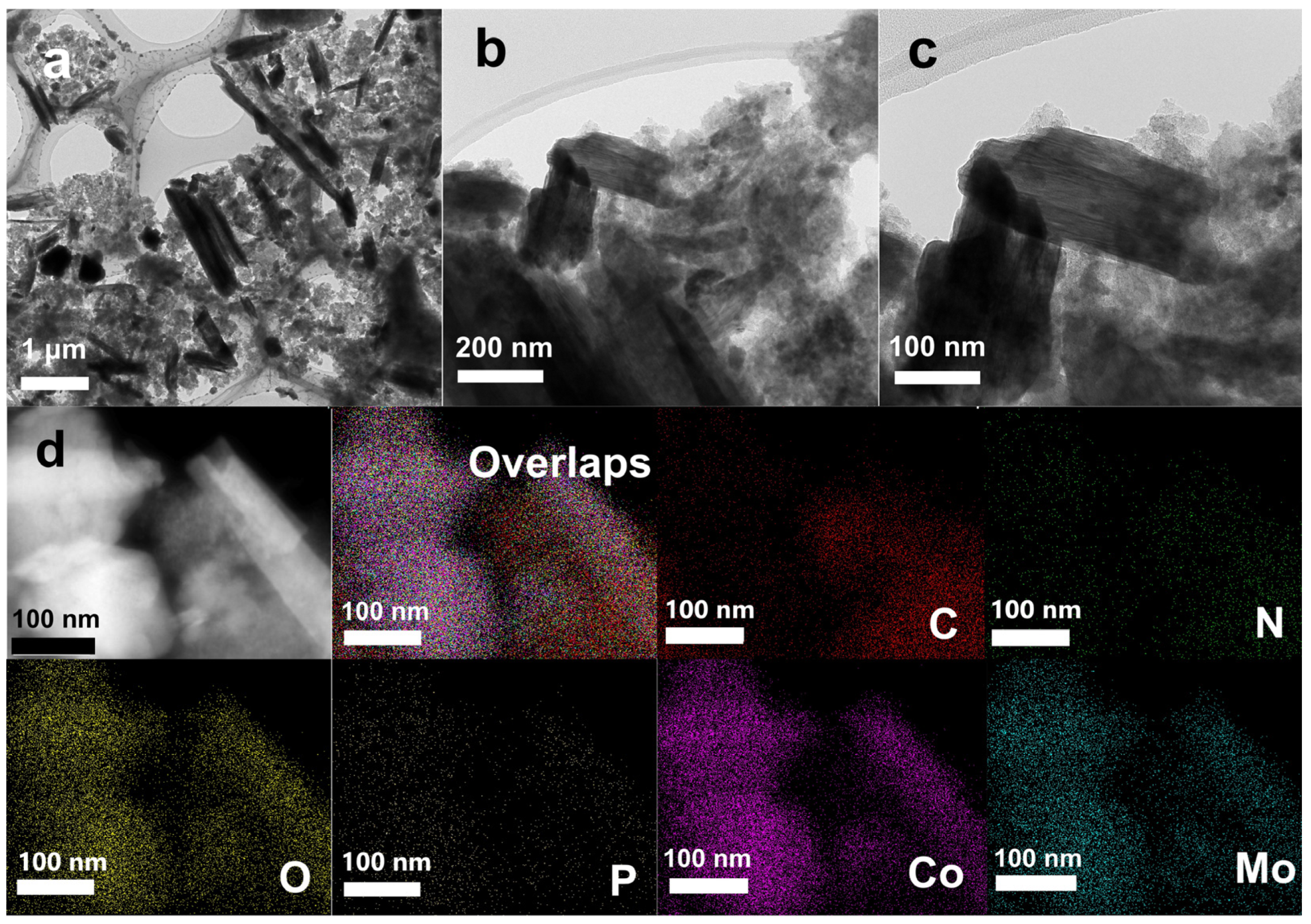 Molecules 29 04953 g006