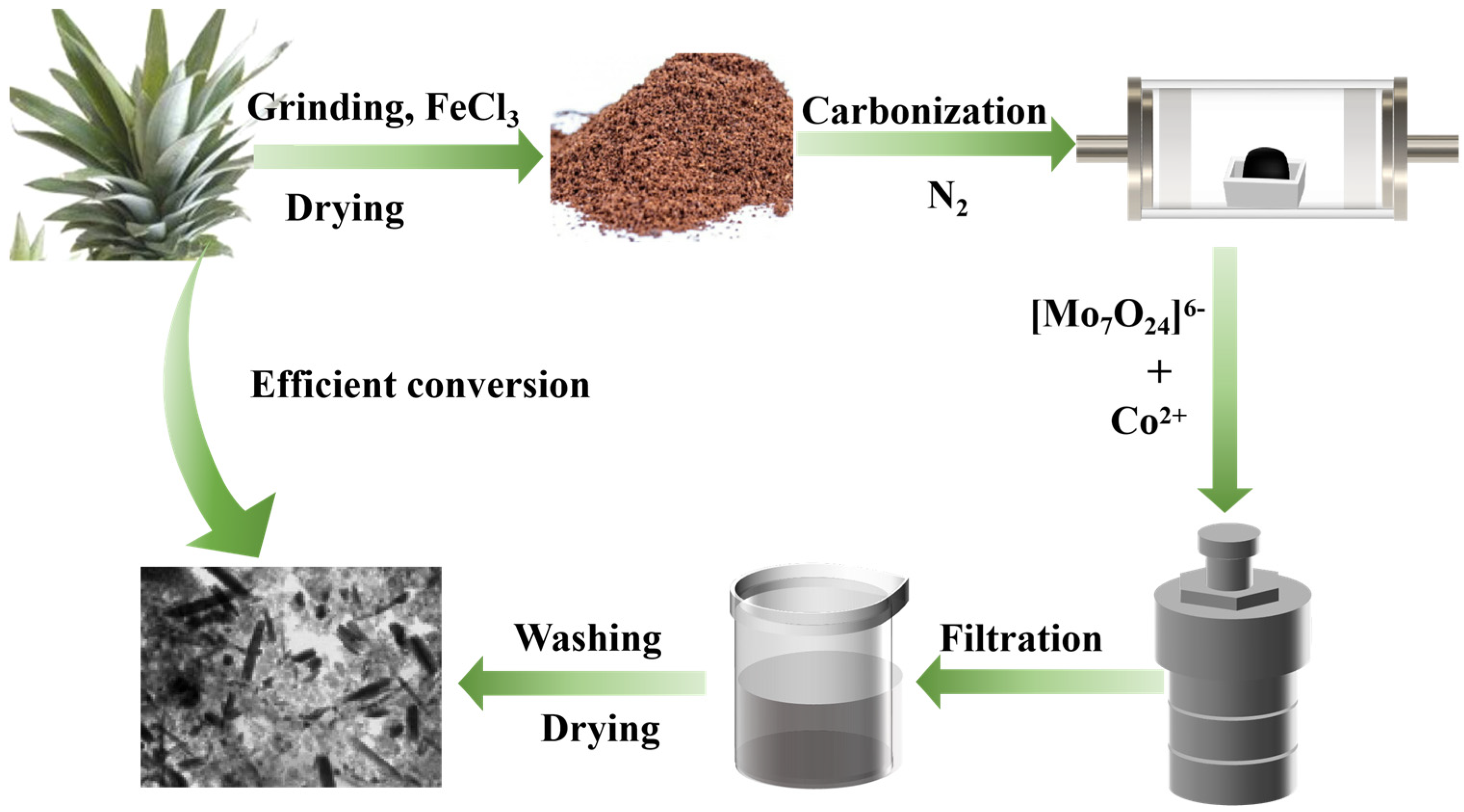 Molecules 29 04953 sch001