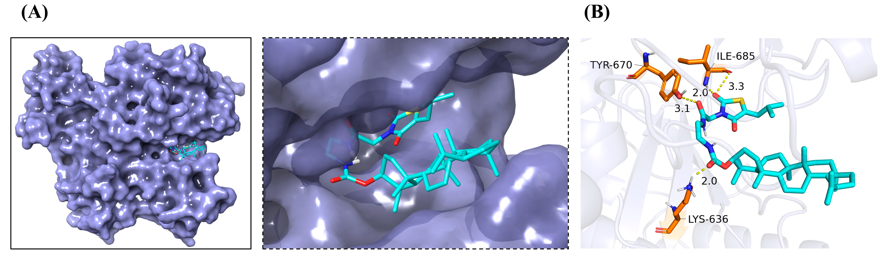 Molecules 29 04957 g007 Molecules 29 04957 g007