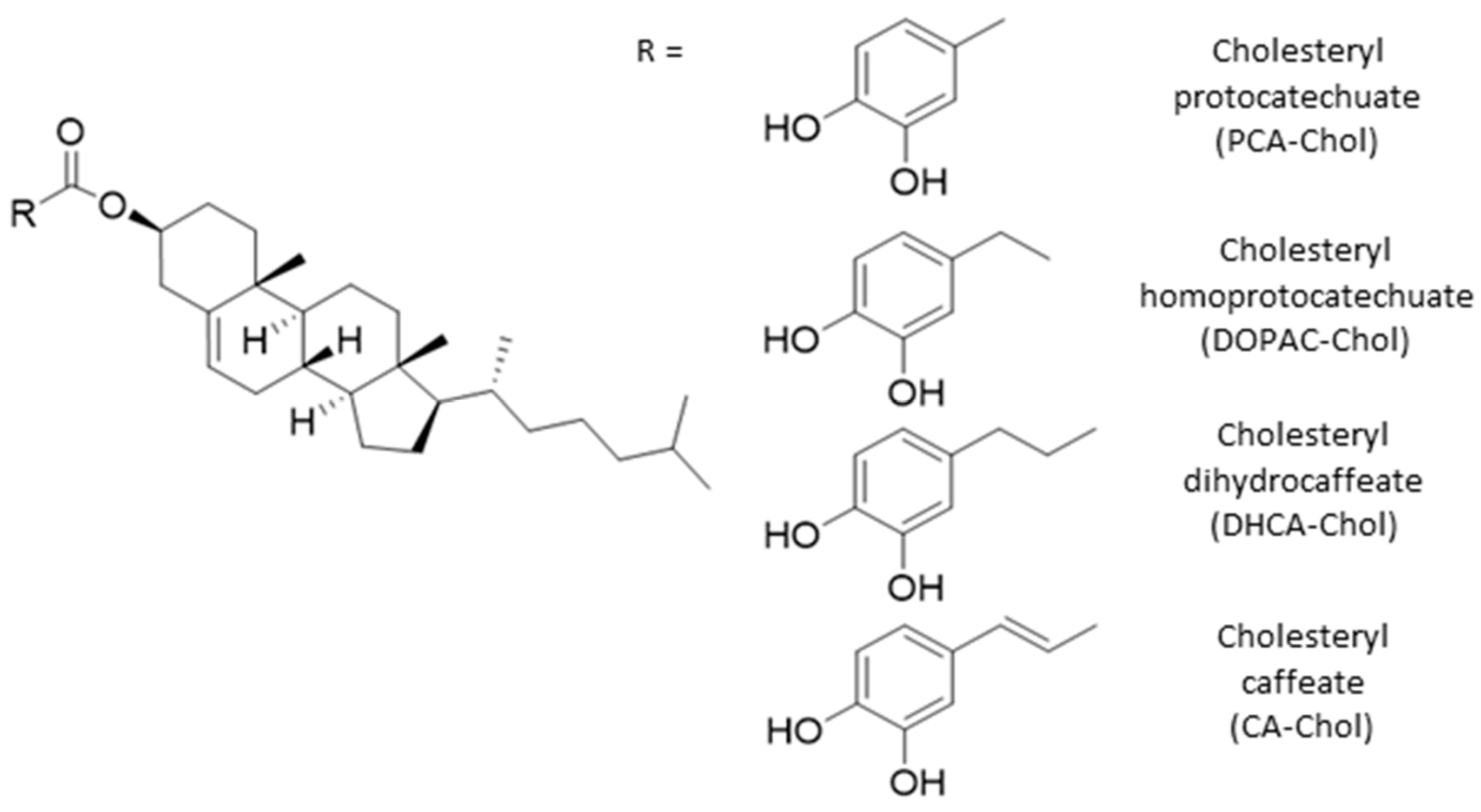 Molecules 29 04959 g001 Molecules 29 04959 g001