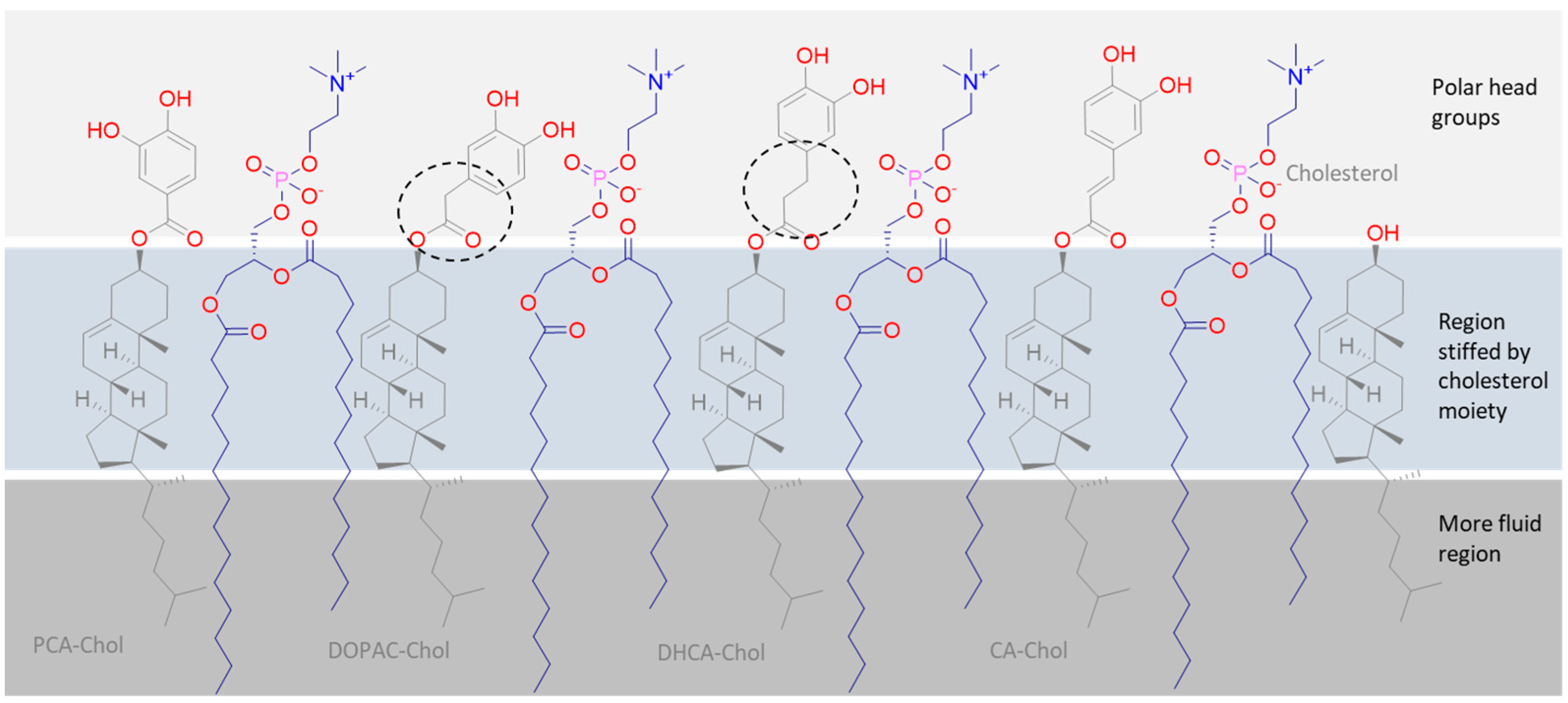 Molecules 29 04959 g004 Molecules 29 04959 g004