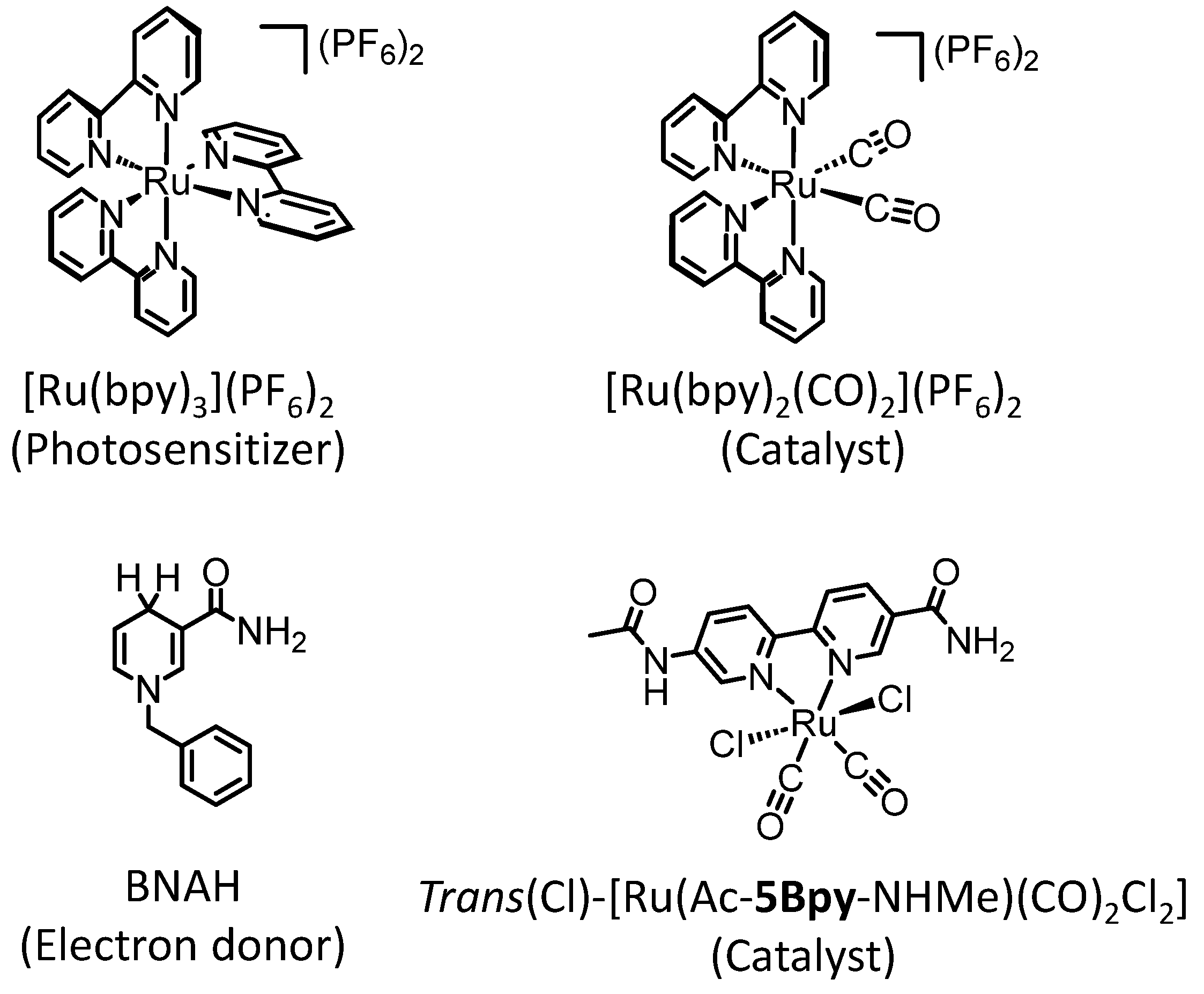 Molecules 29 04960 g001 Molecules 29 04960 g001