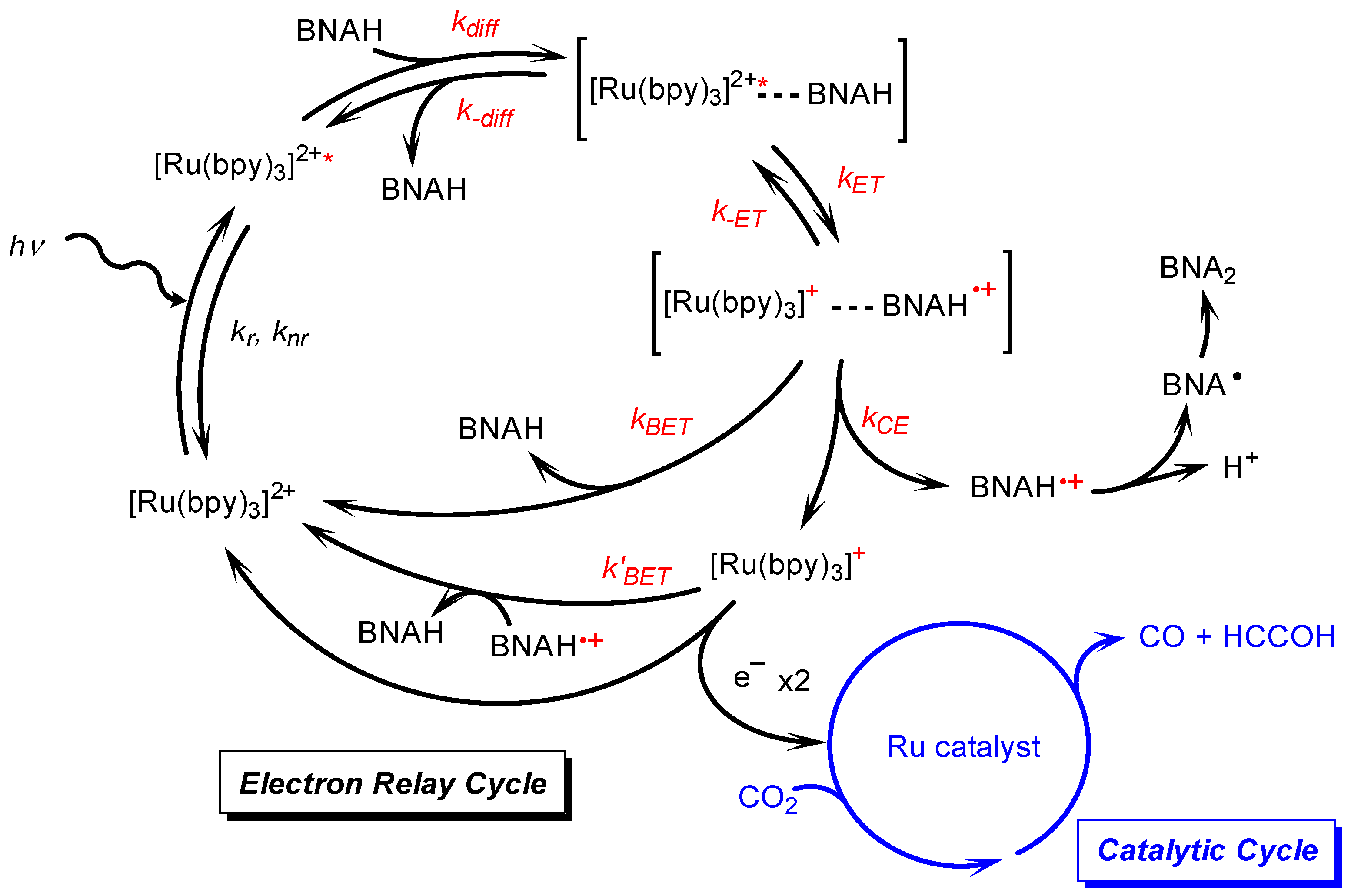 Molecules 29 04960 g003 Molecules 29 04960 g003