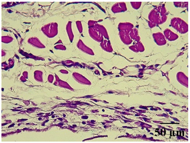 Molecules 29 04964 i008