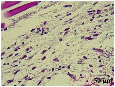 Molecules 29 04964 i010