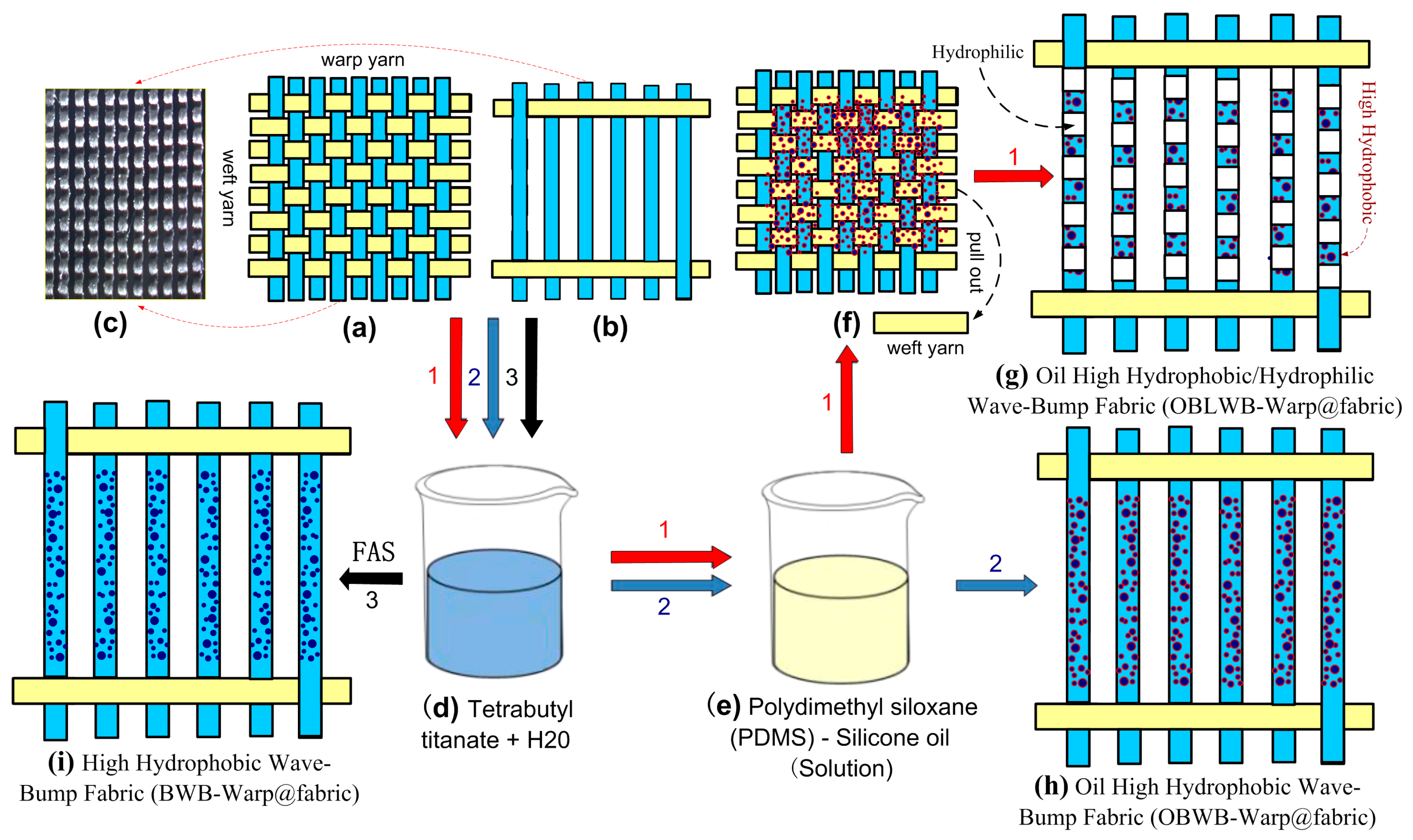 Molecules 29 04978 g002