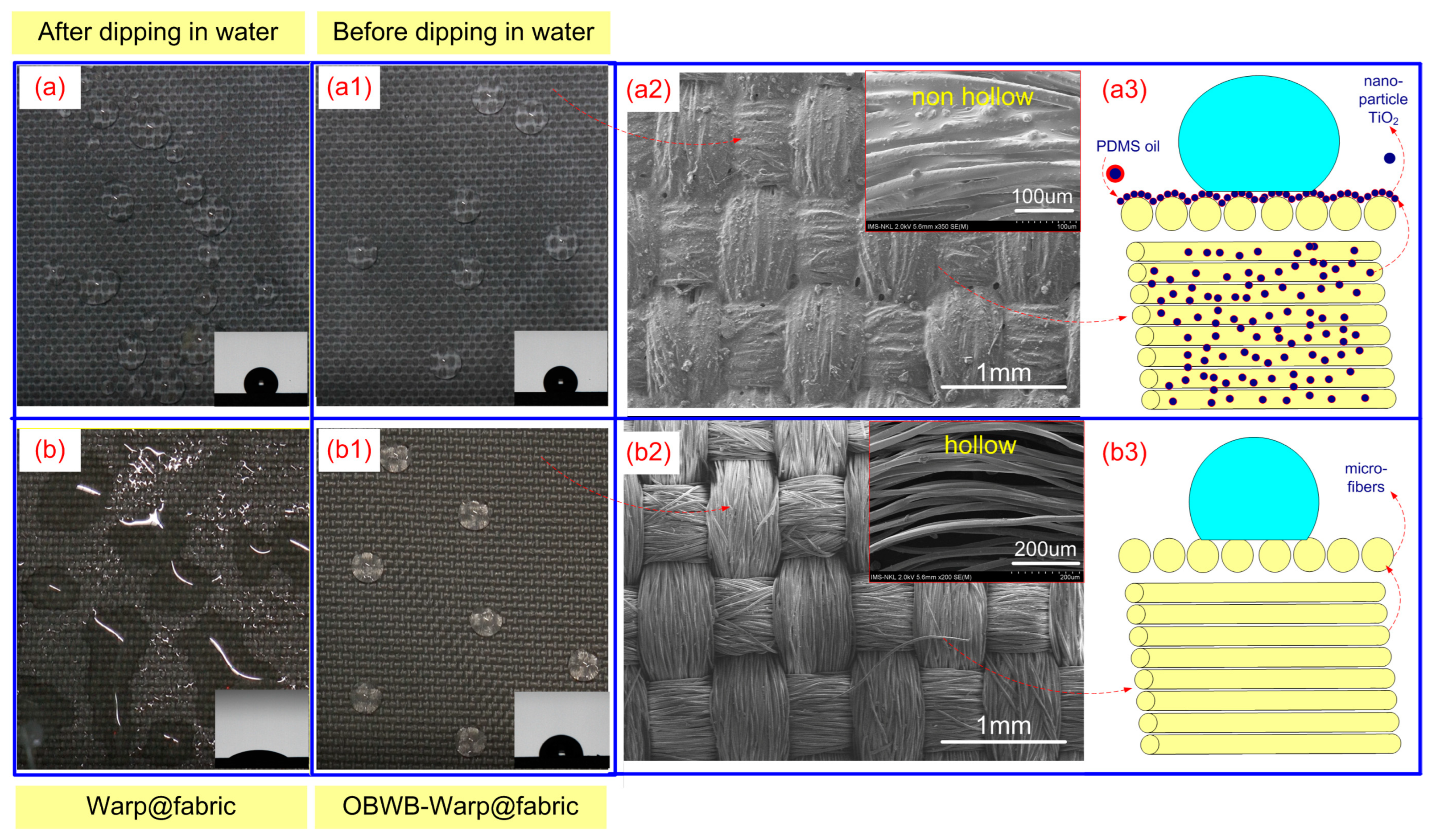 Molecules 29 04978 g005