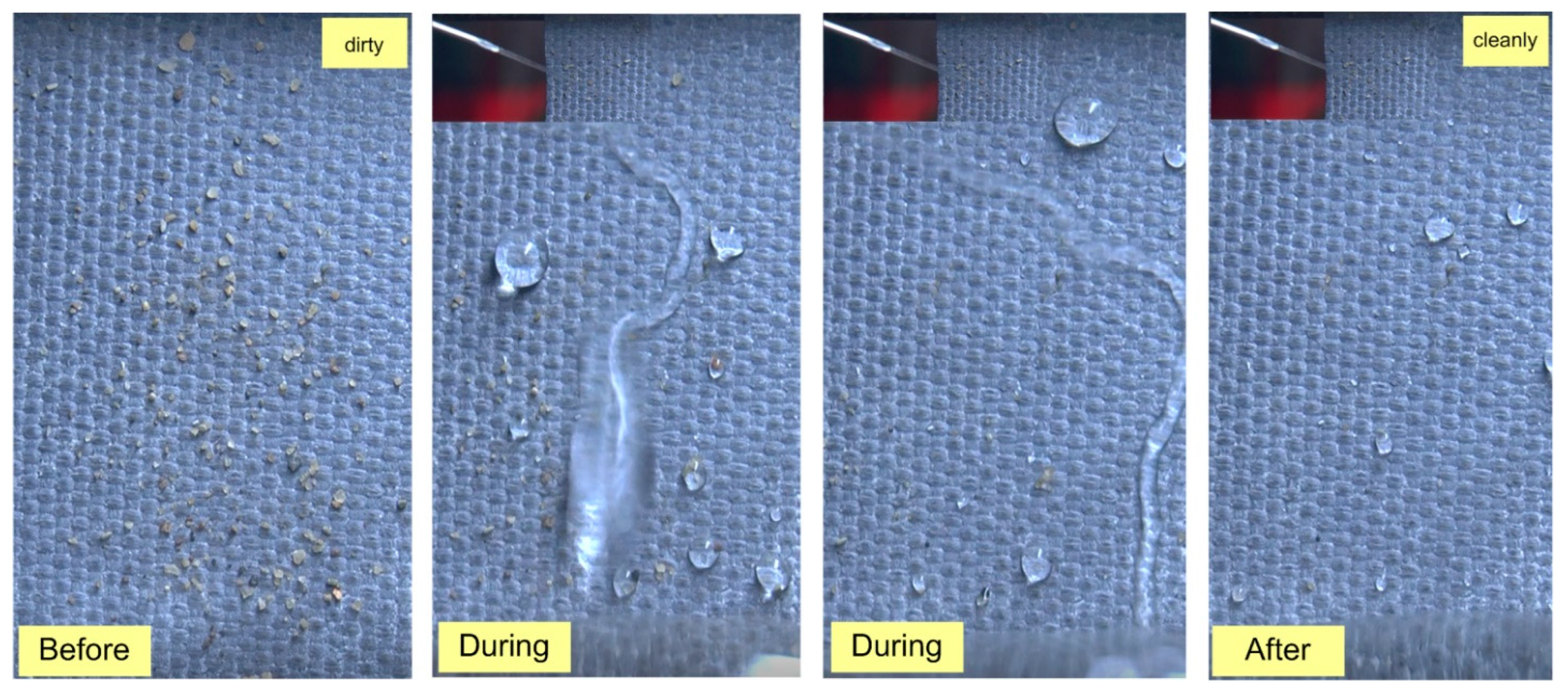 Molecules 29 04978 g006