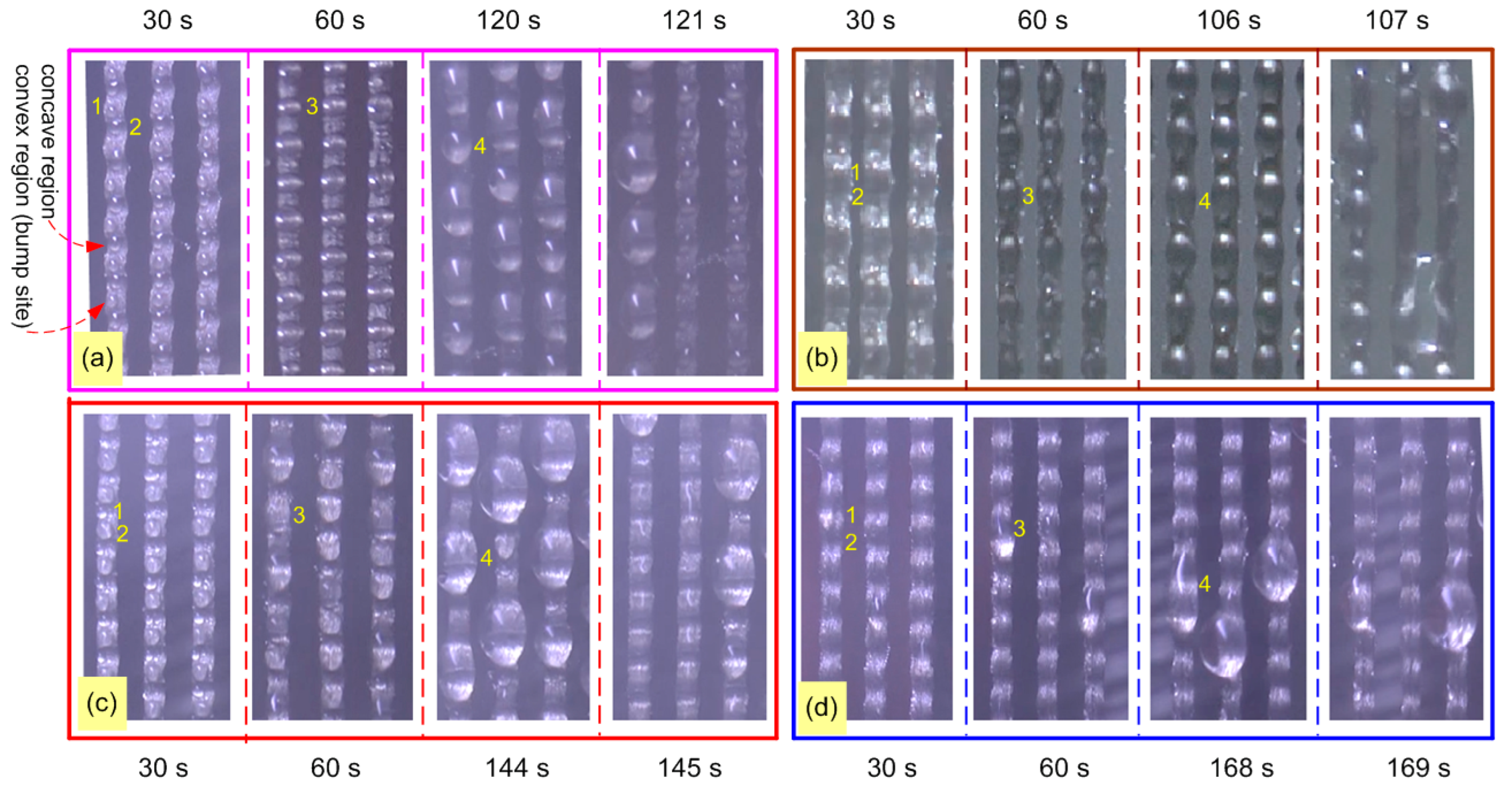 Molecules 29 04978 g008