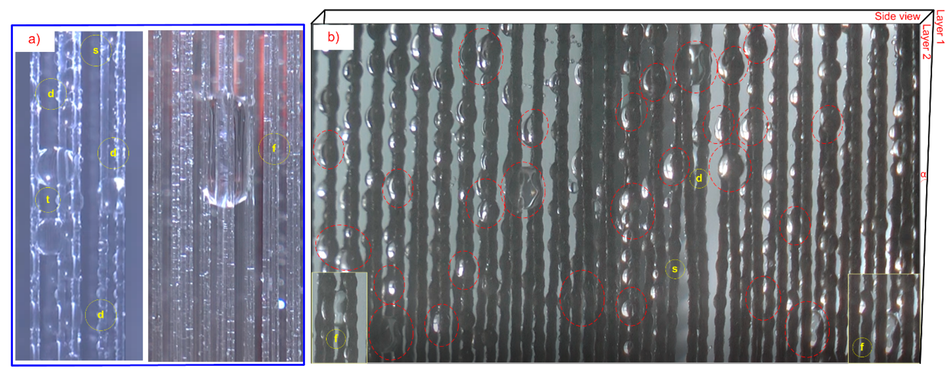 Molecules 29 04978 g012
