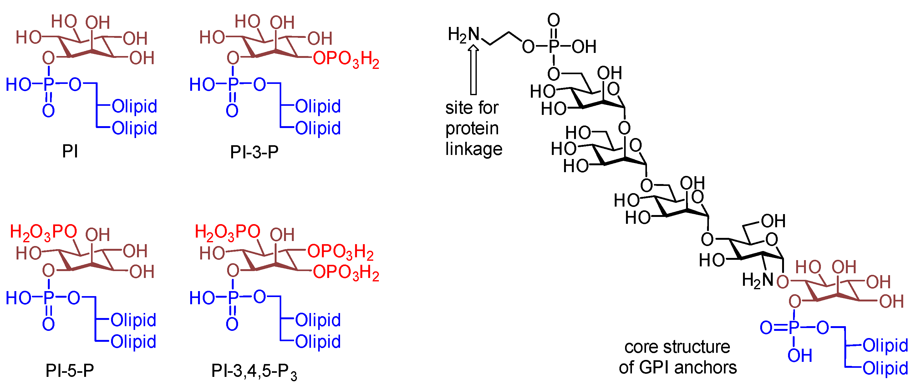 Molecules 29 04981 g001