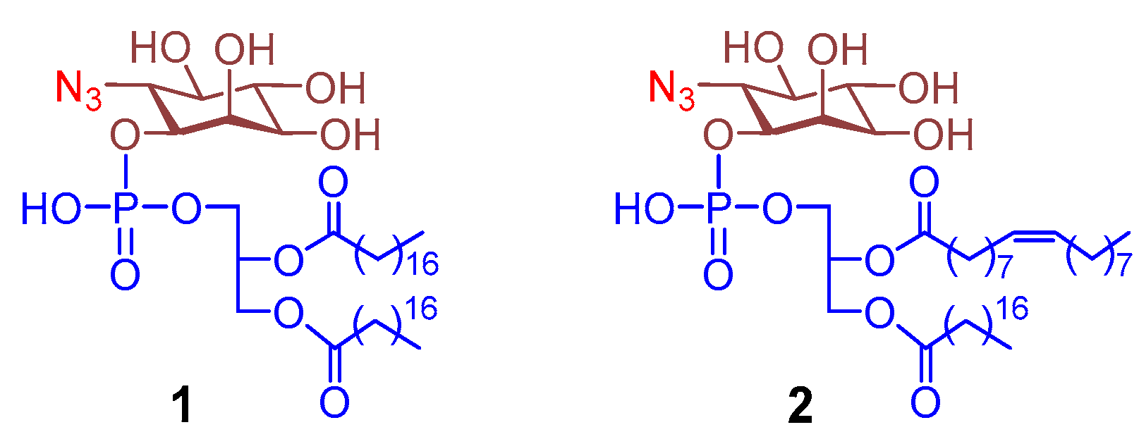 Molecules 29 04981 g002
