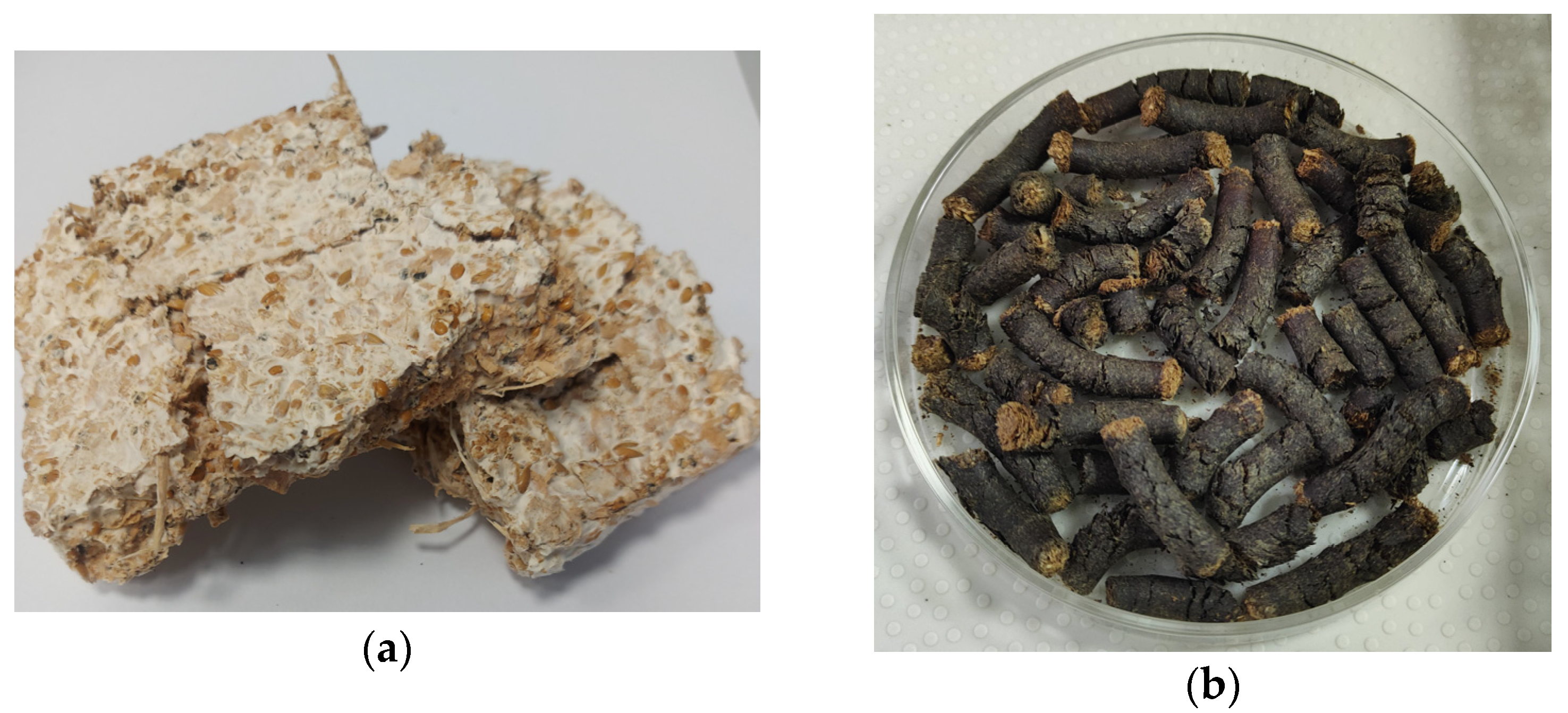 Molecules 29 04983 g005