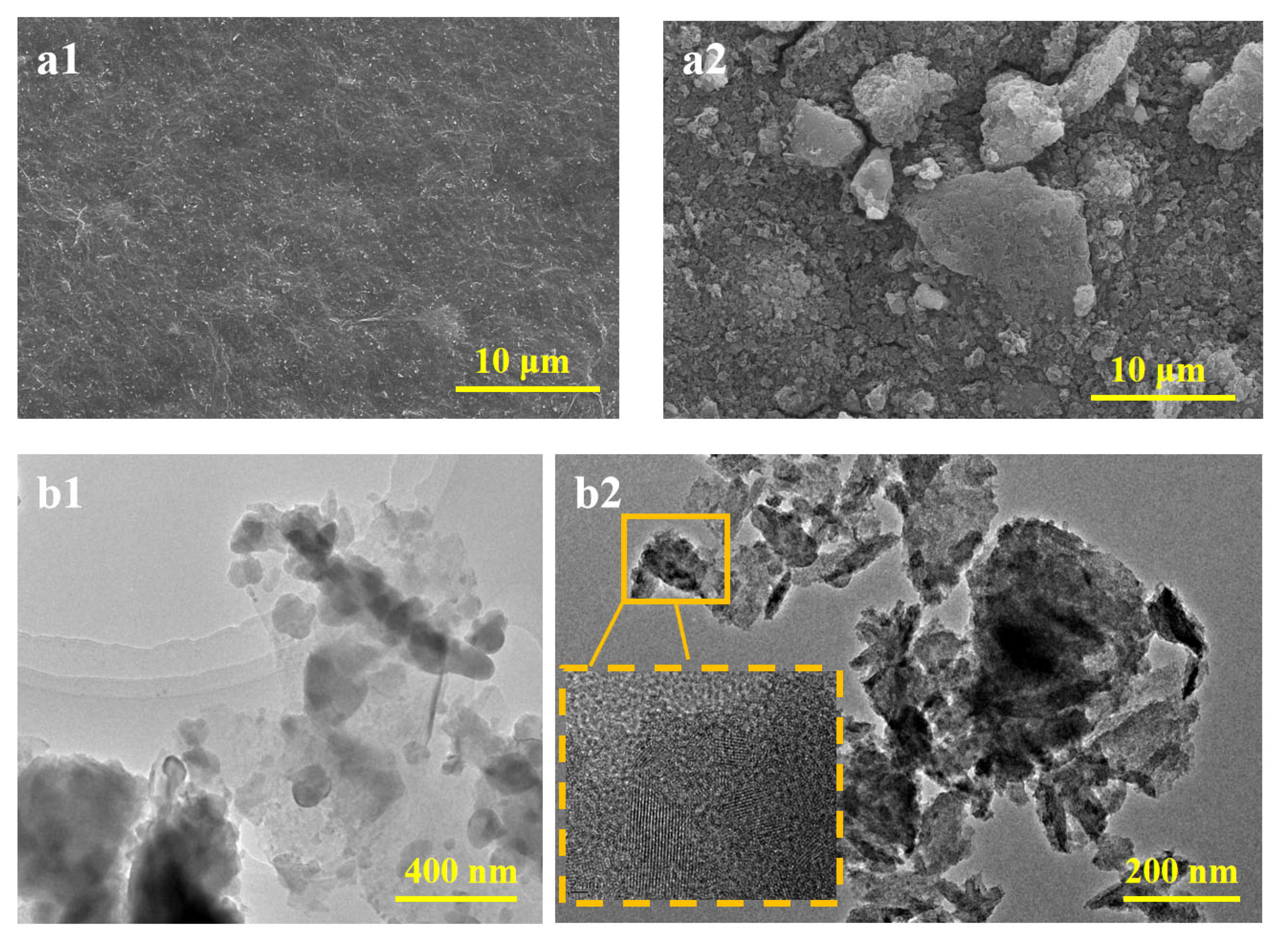 Molecules 29 04995 g002