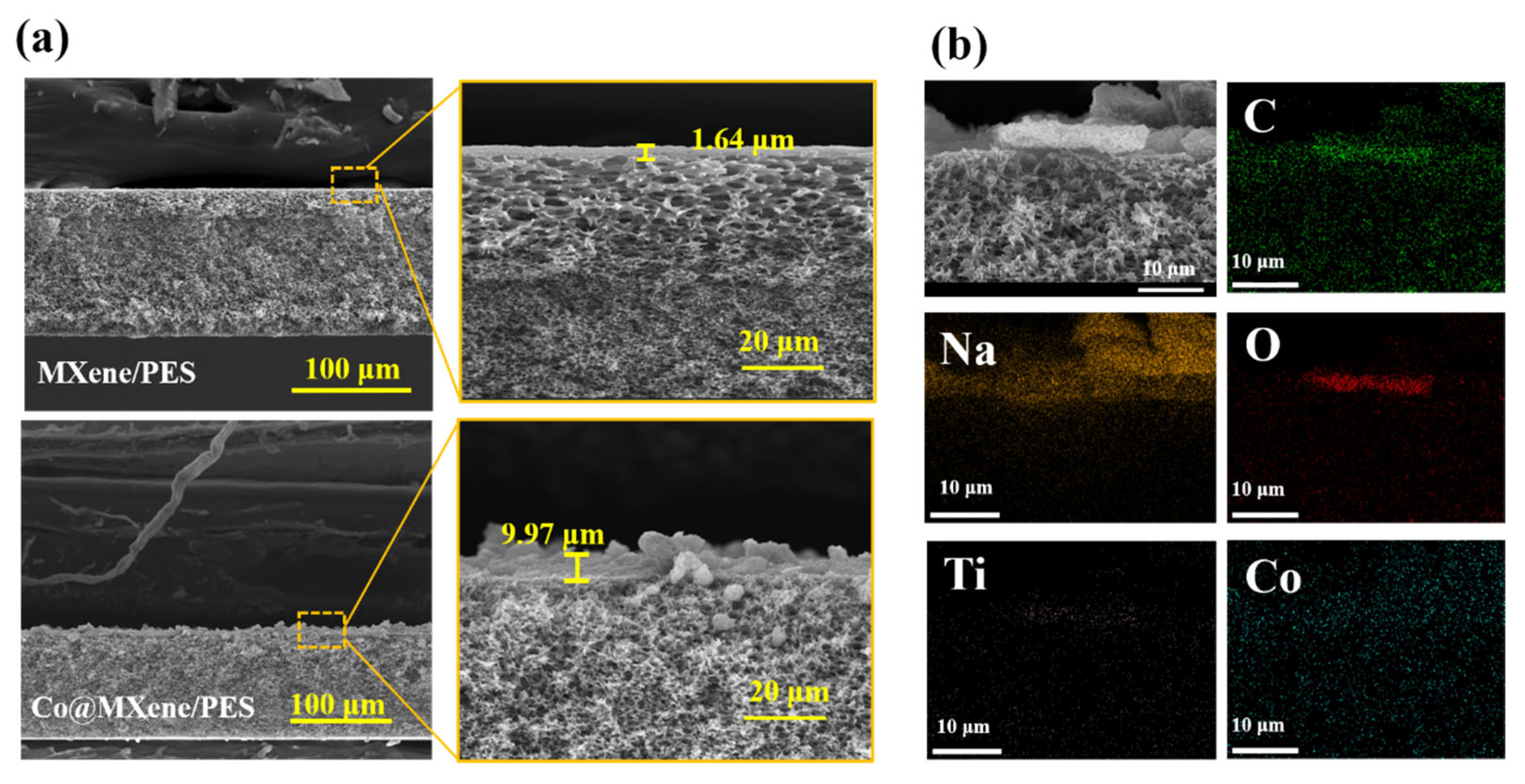 Molecules 29 04995 g003