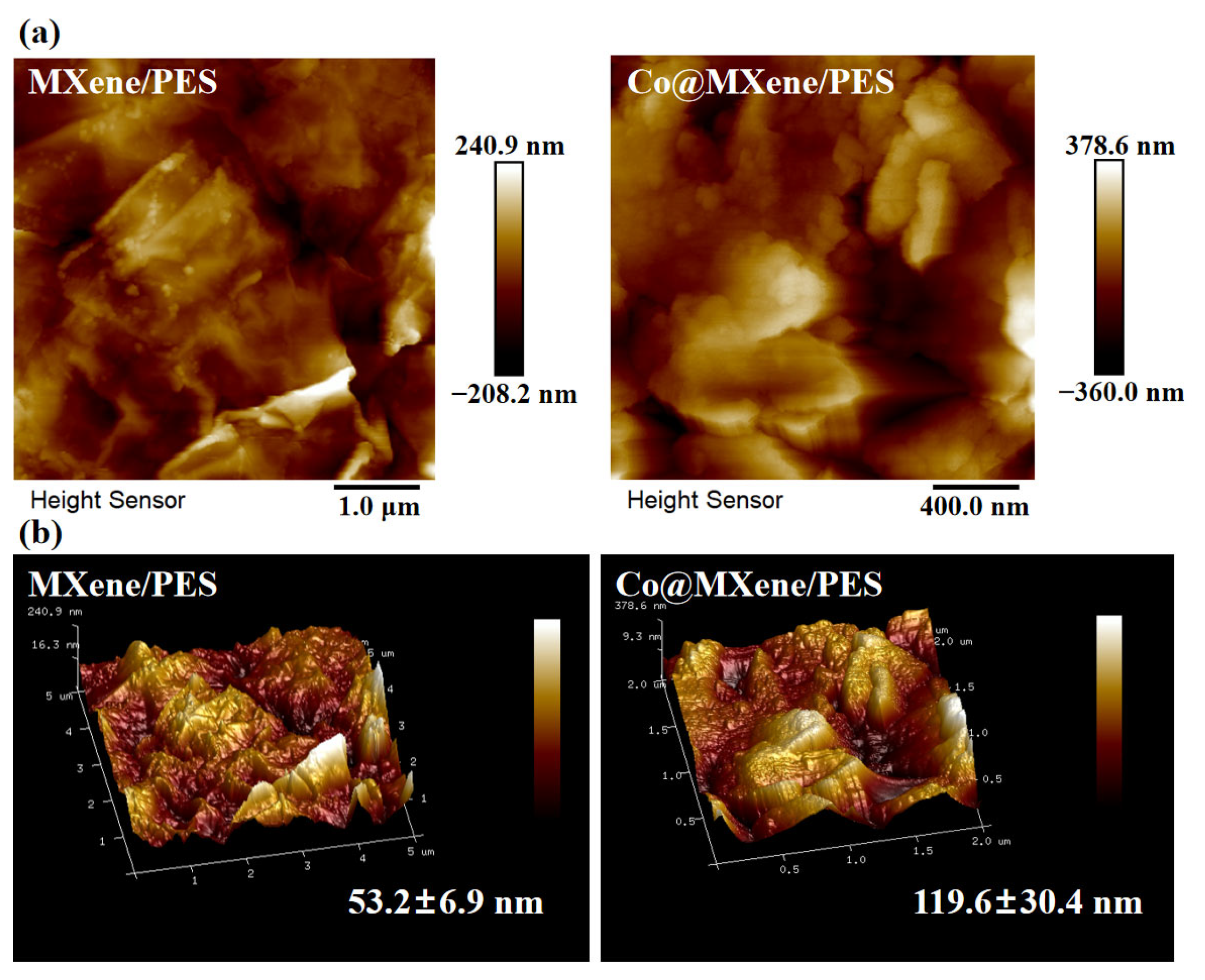 Molecules 29 04995 g004