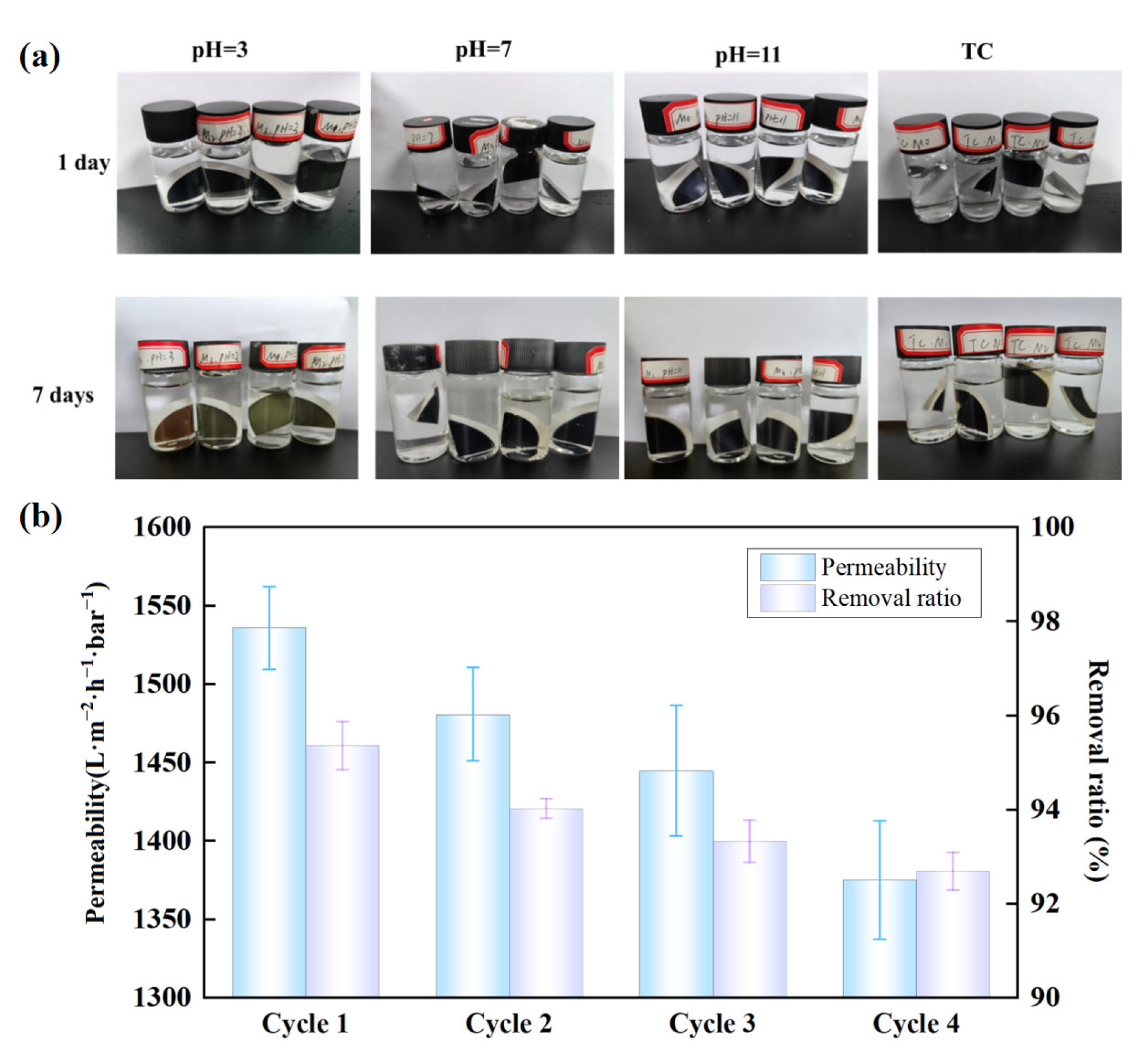 Molecules 29 04995 g008