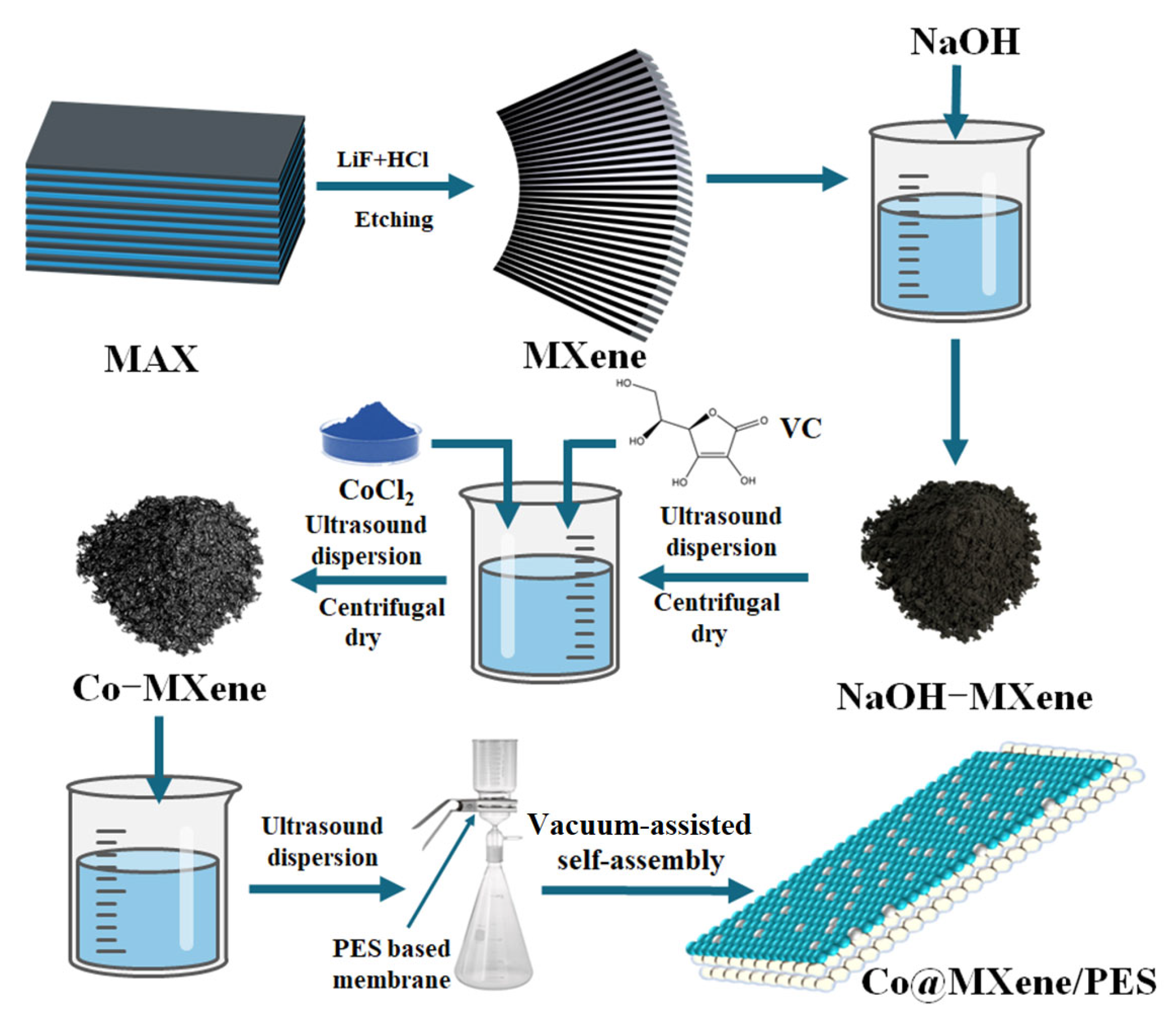 Molecules 29 04995 g011