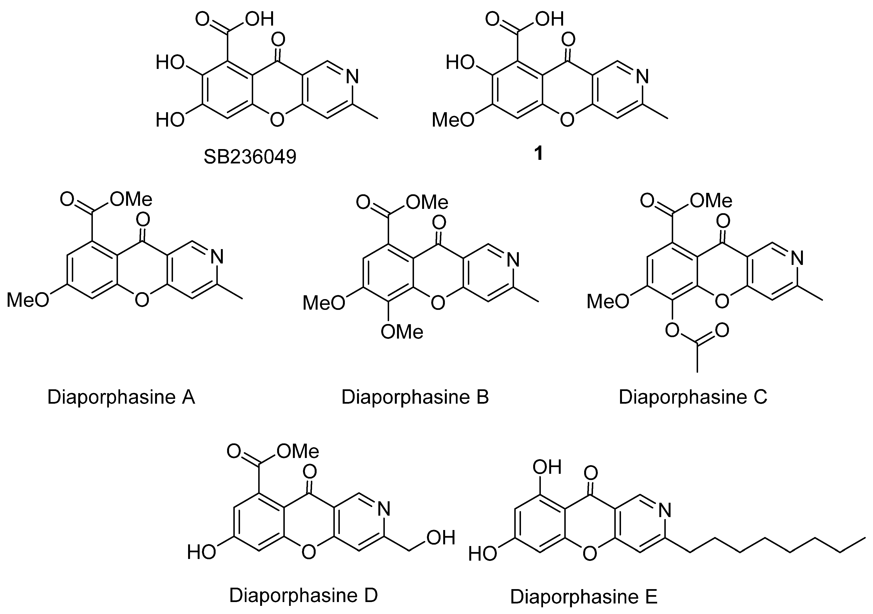 Molecules 29 04997 g001