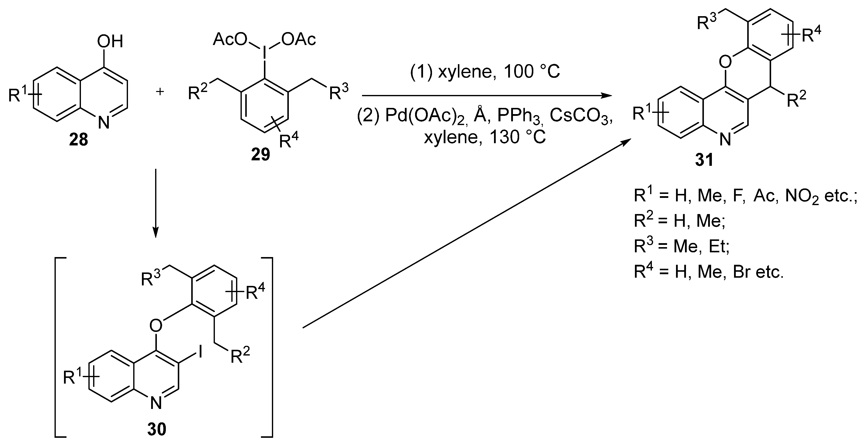 Molecules 29 04997 sch007