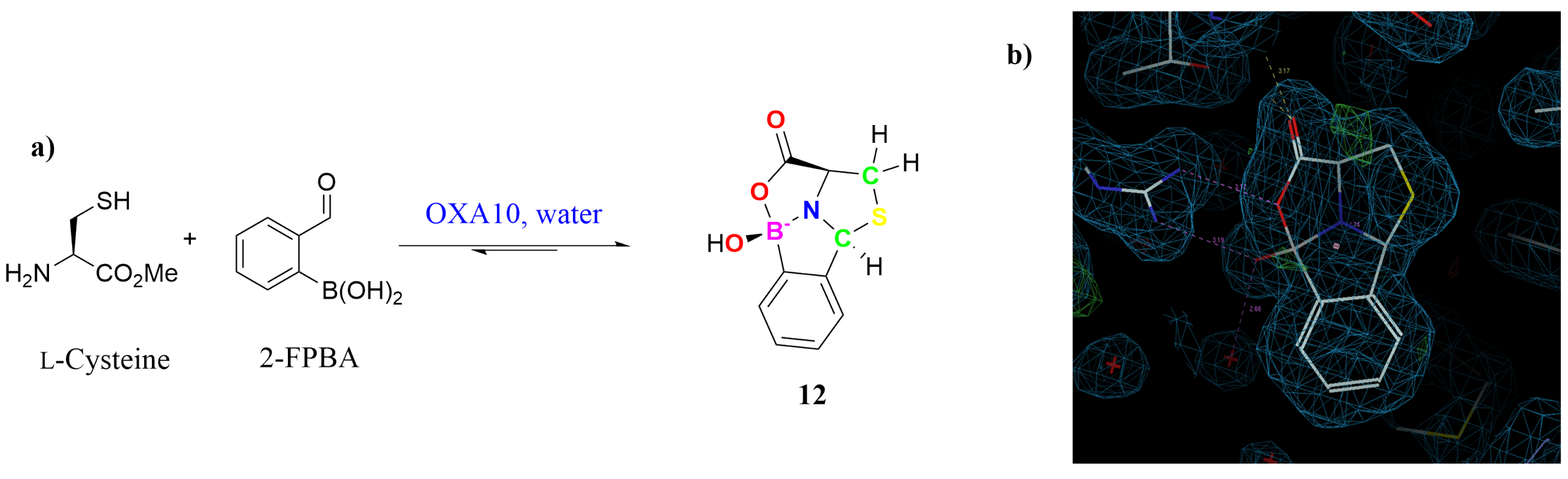 Molecules 29 04998 g002
