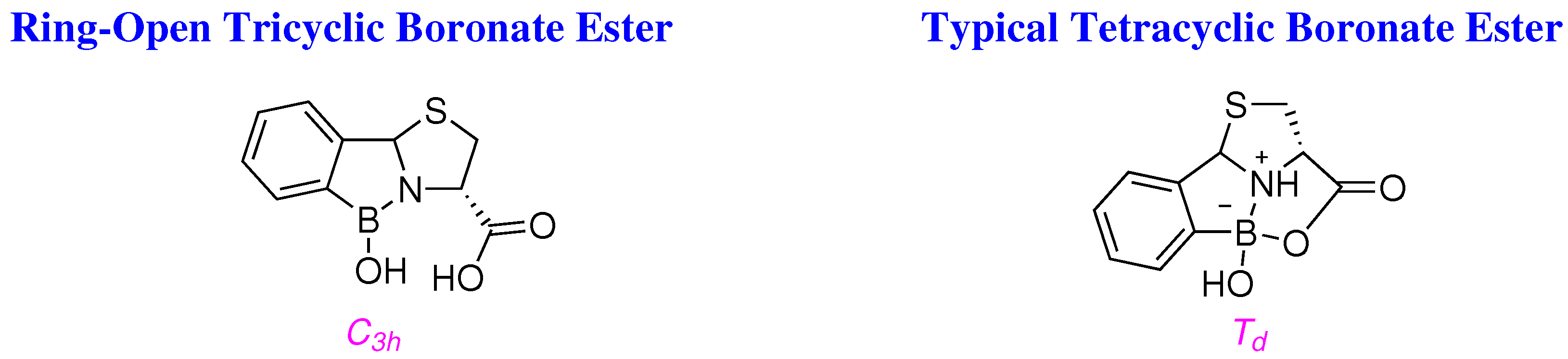 Molecules 29 04998 g007