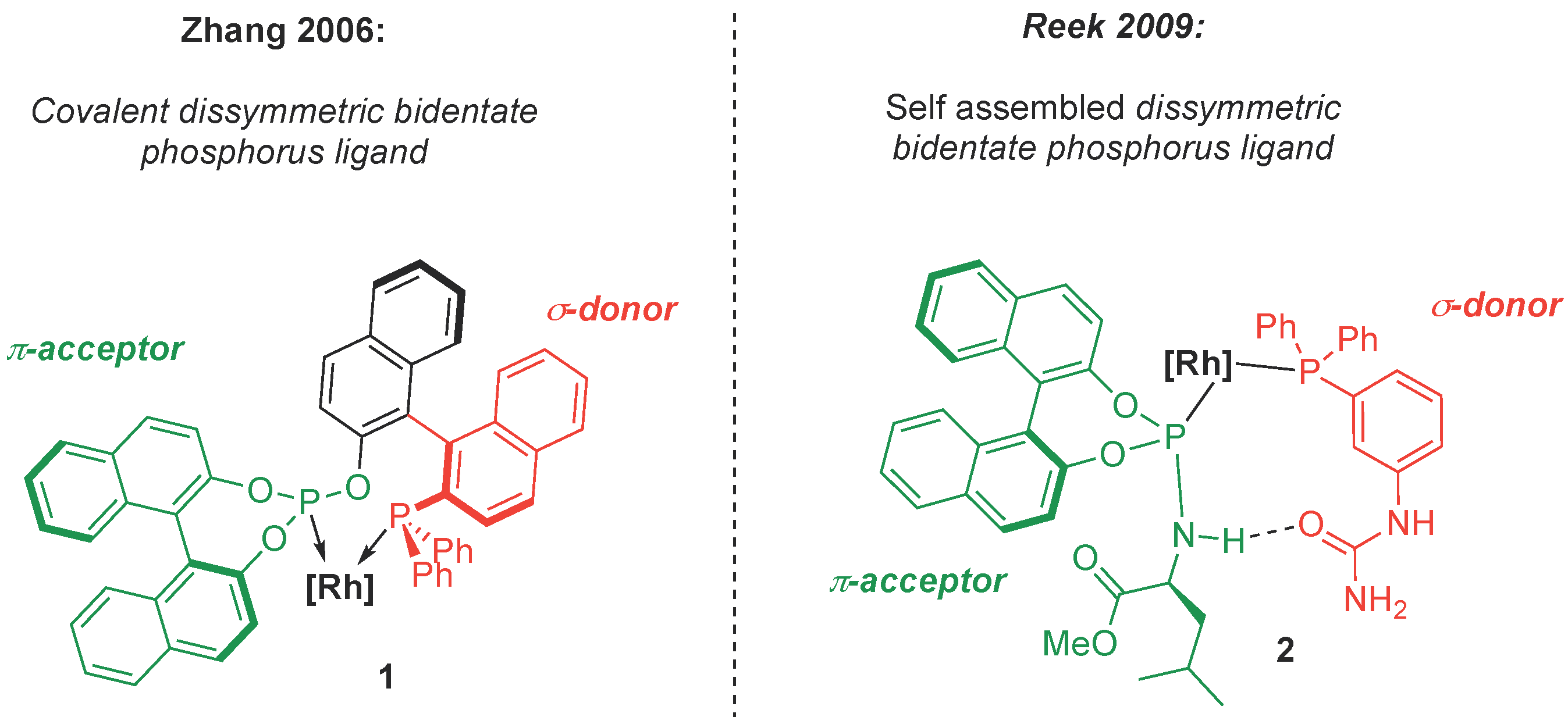 Molecules 29 04999 g001