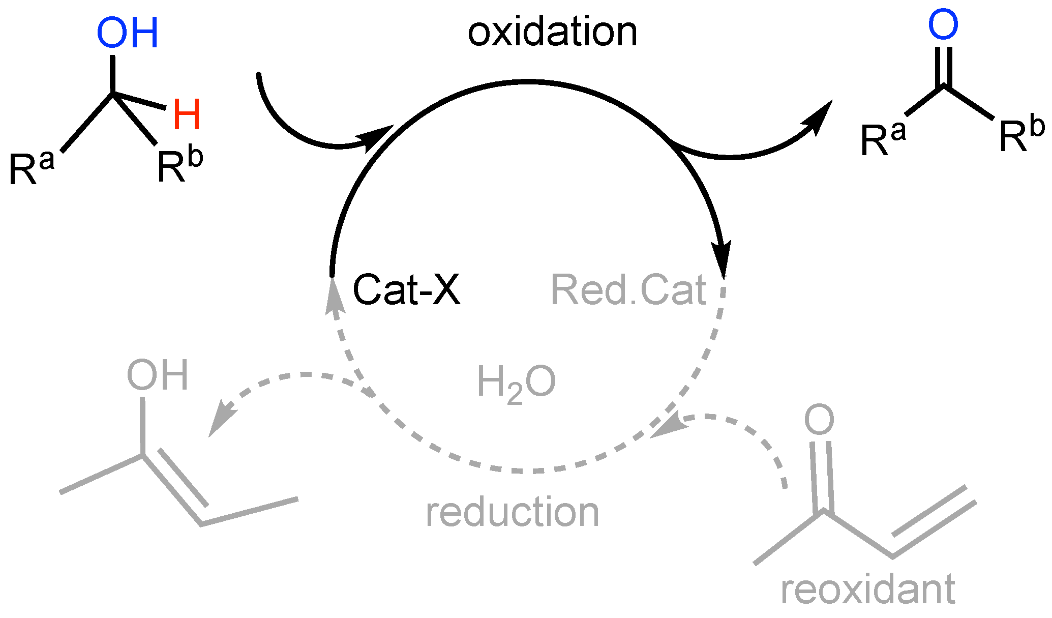 Molecules 29 04999 sch003