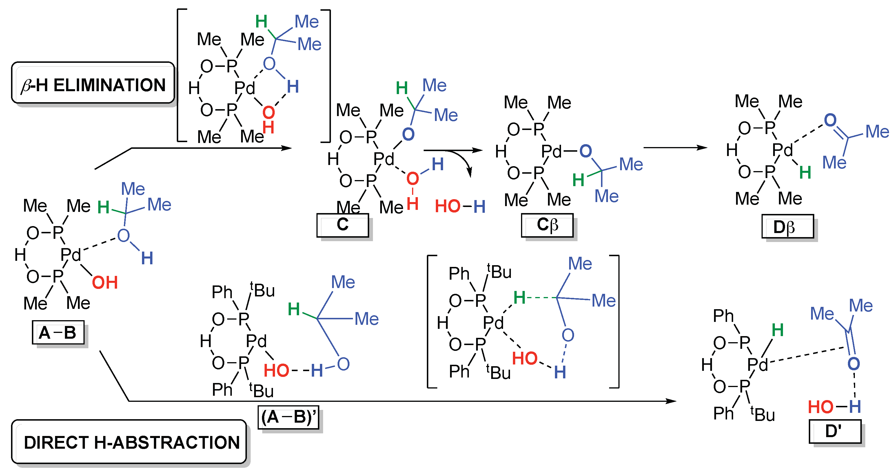 Molecules 29 04999 sch004