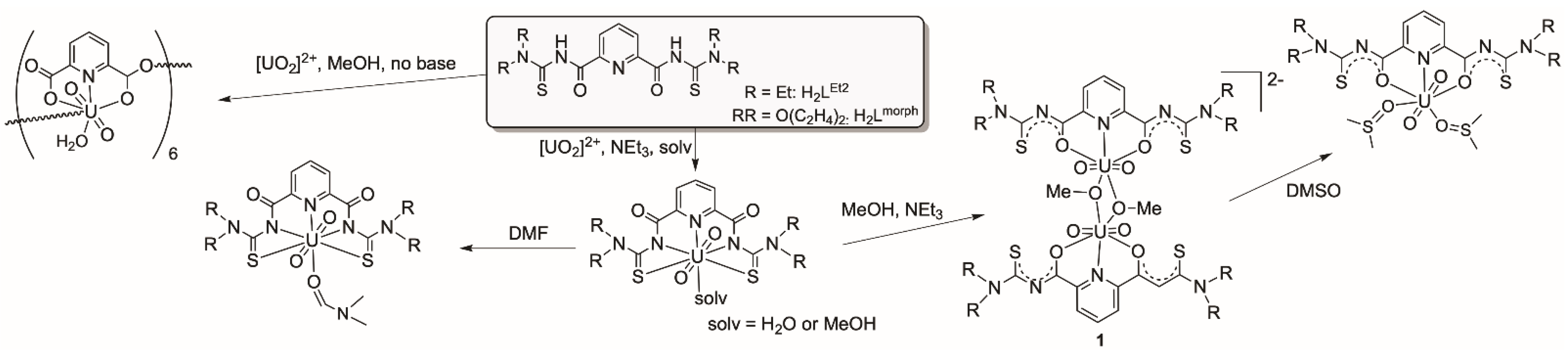 Molecules 29 05001 sch001