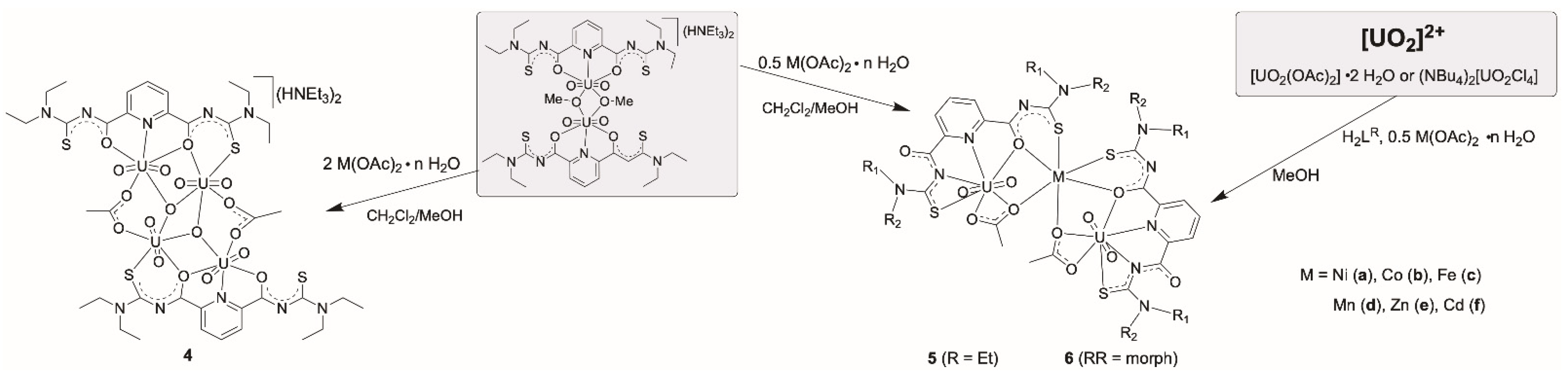 Molecules 29 05001 sch003