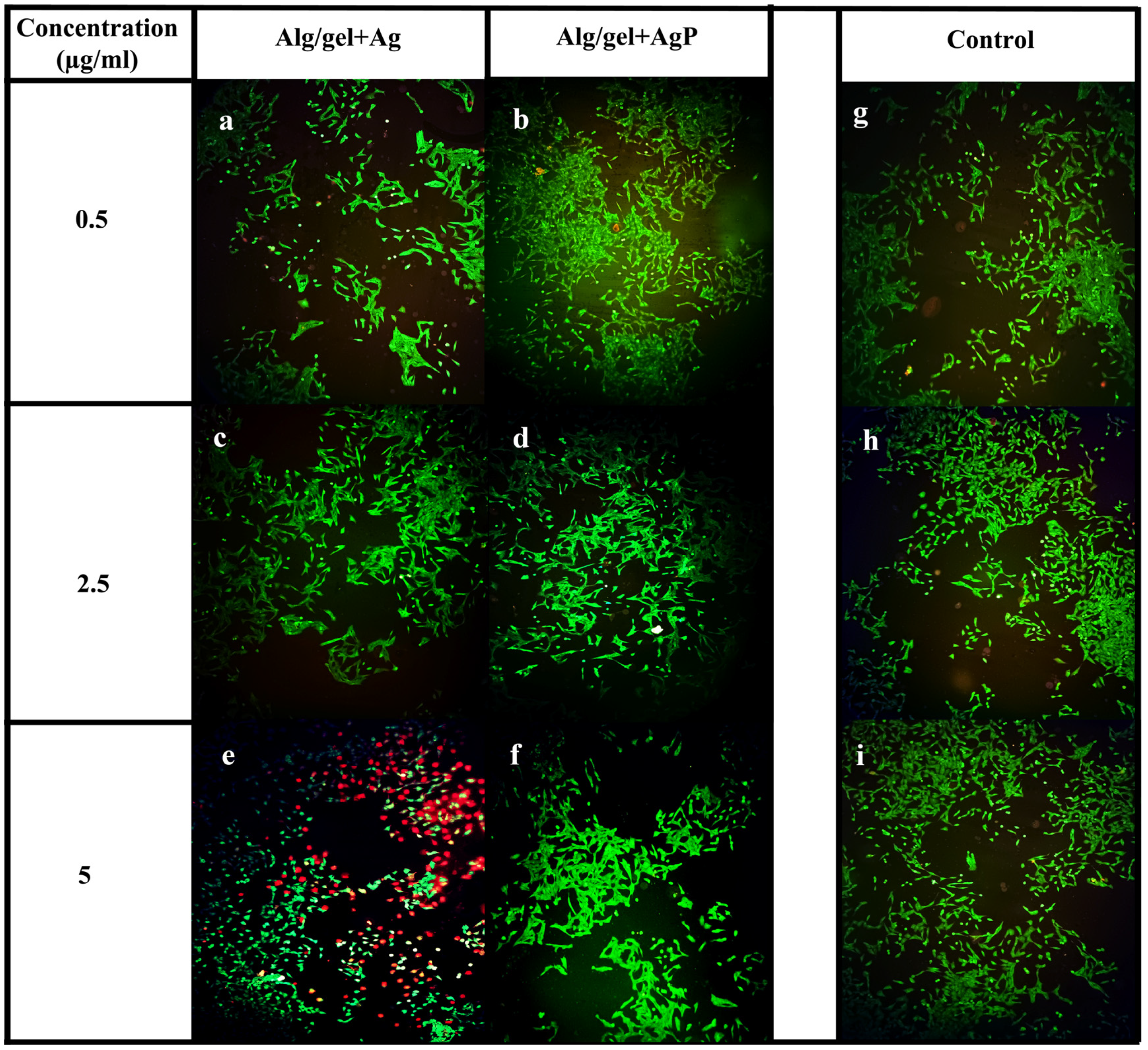 Molecules 29 05004 g003