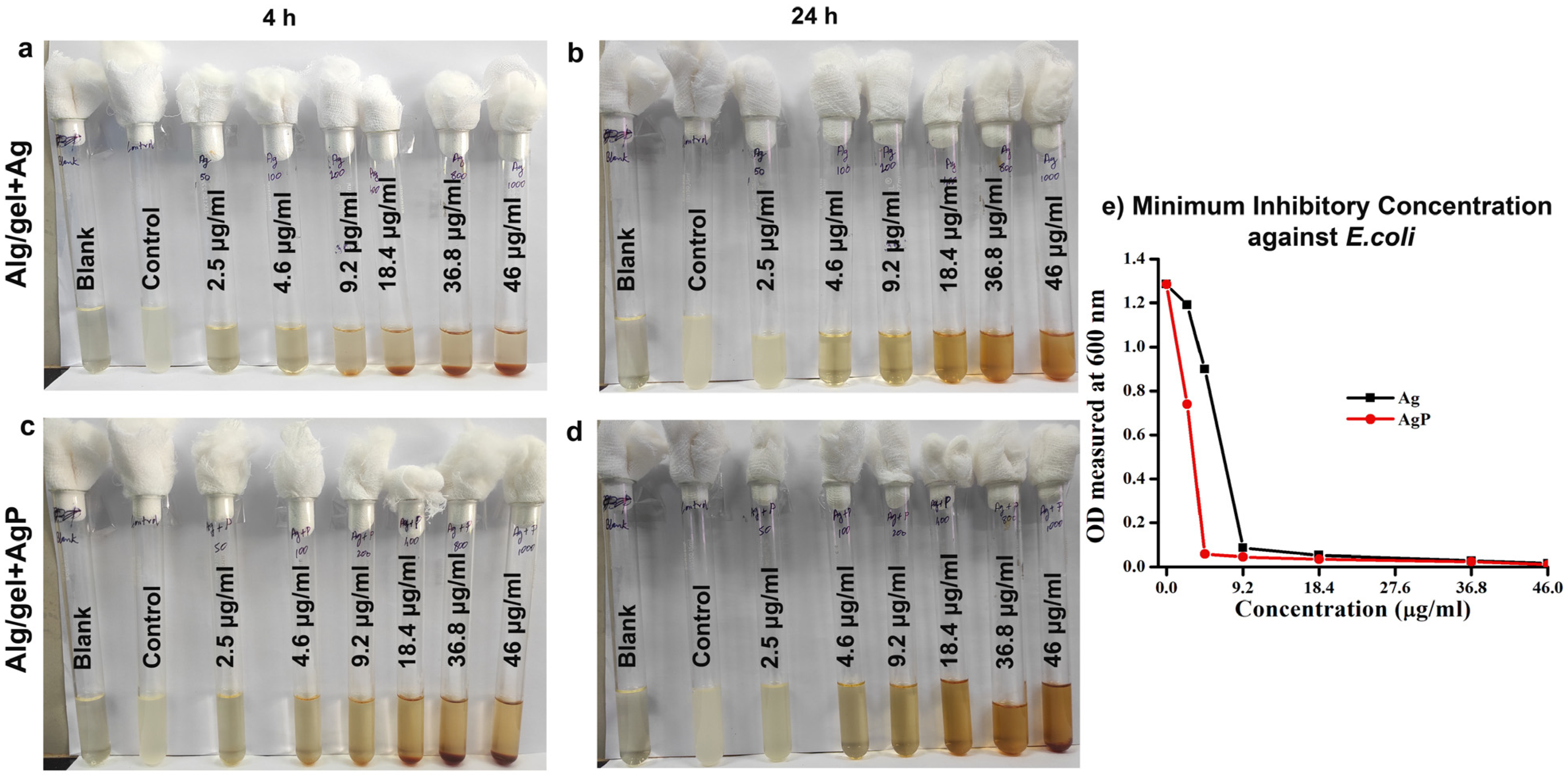Molecules 29 05004 g005