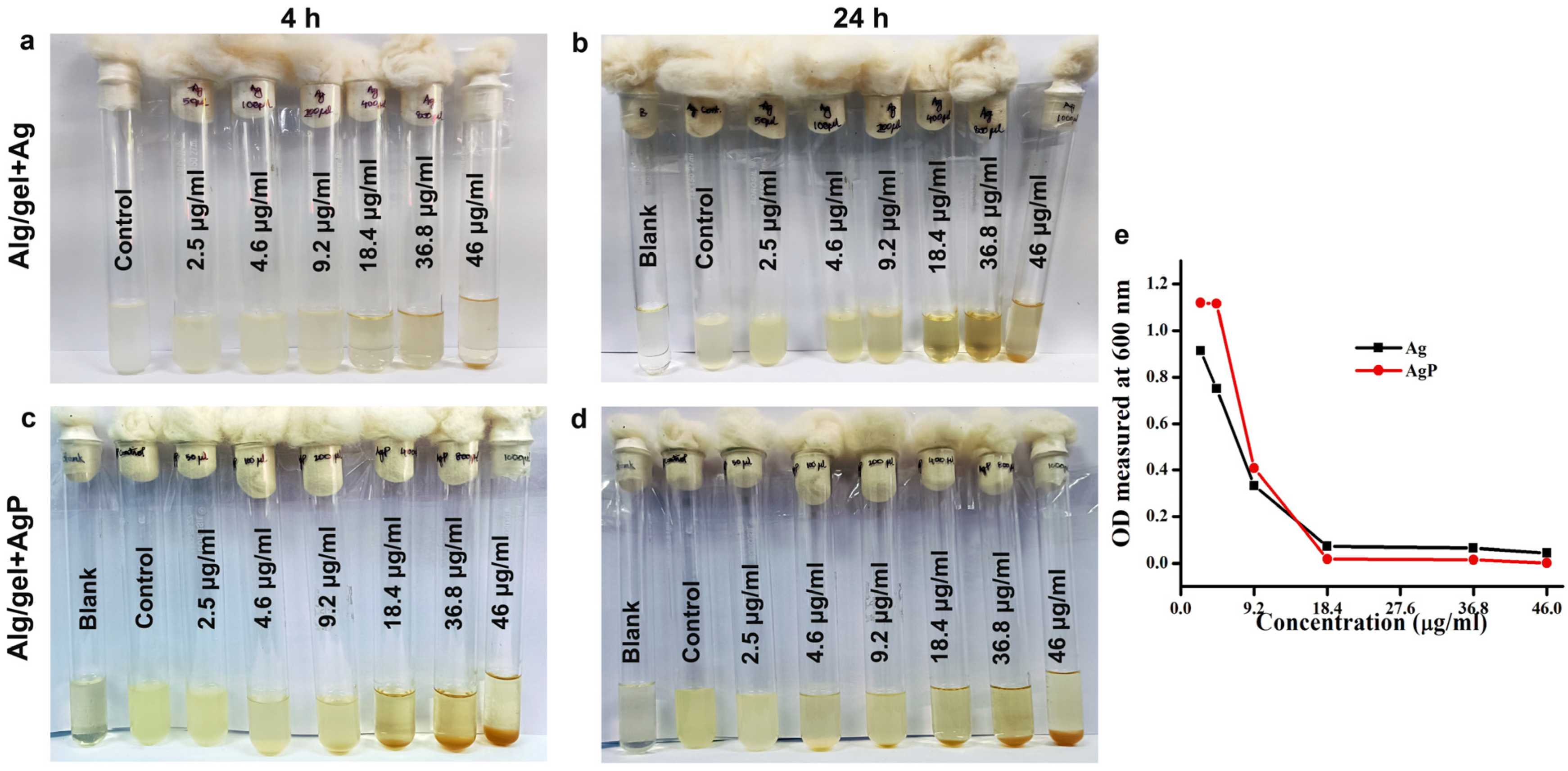 Molecules 29 05004 g006