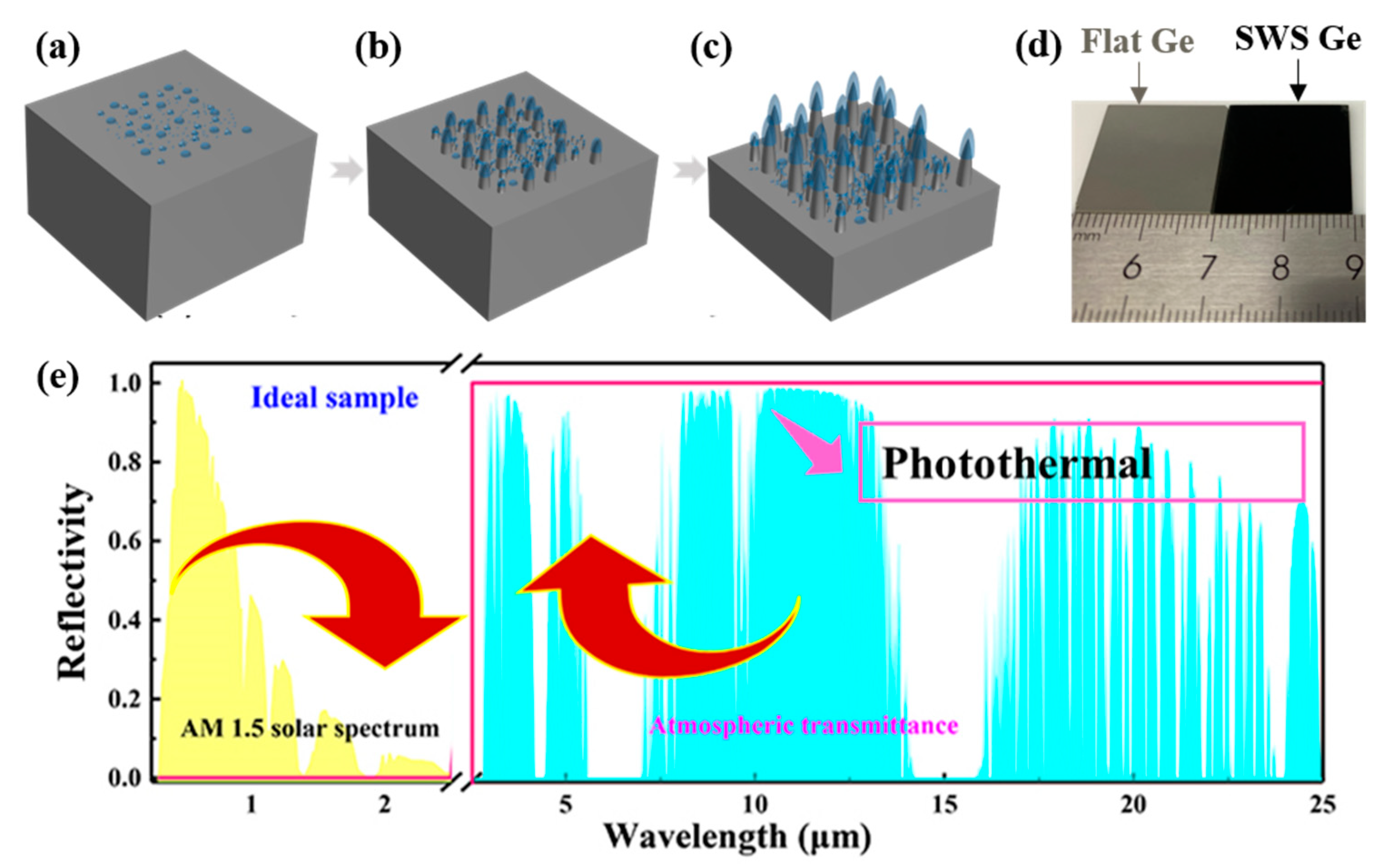 Molecules 29 05008 g001