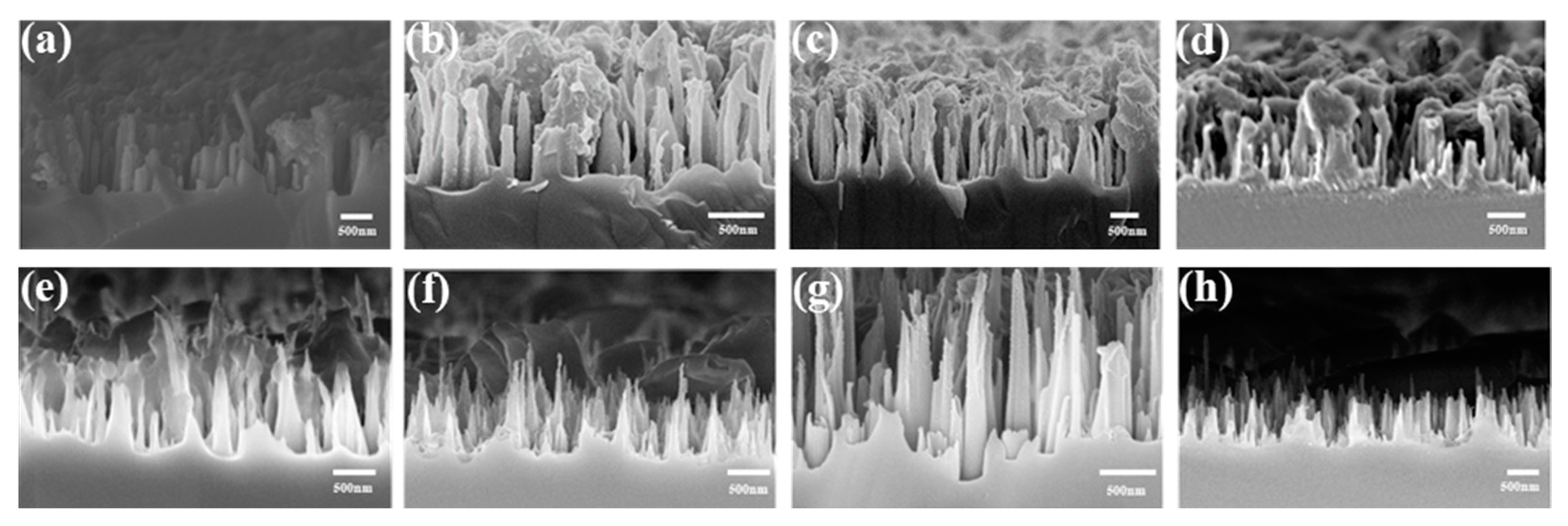 Molecules 29 05008 g002