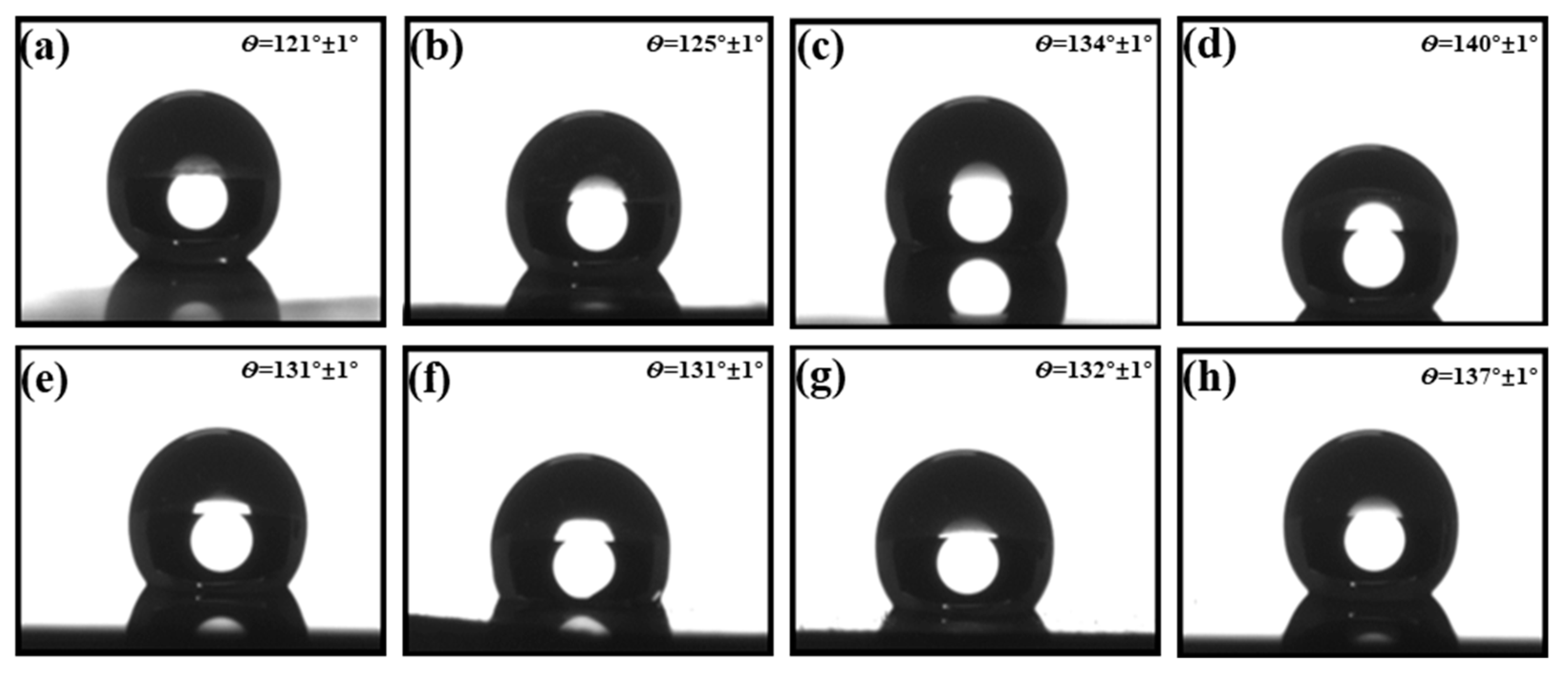 Molecules 29 05008 g005