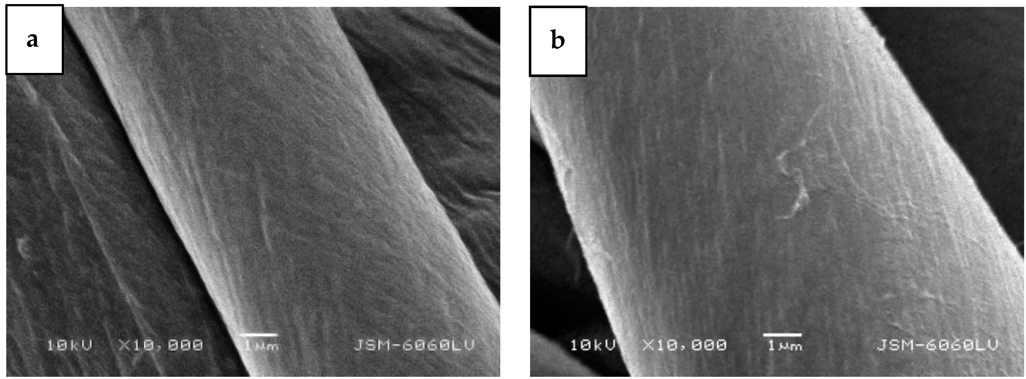 Molecules 29 05009 g002a
