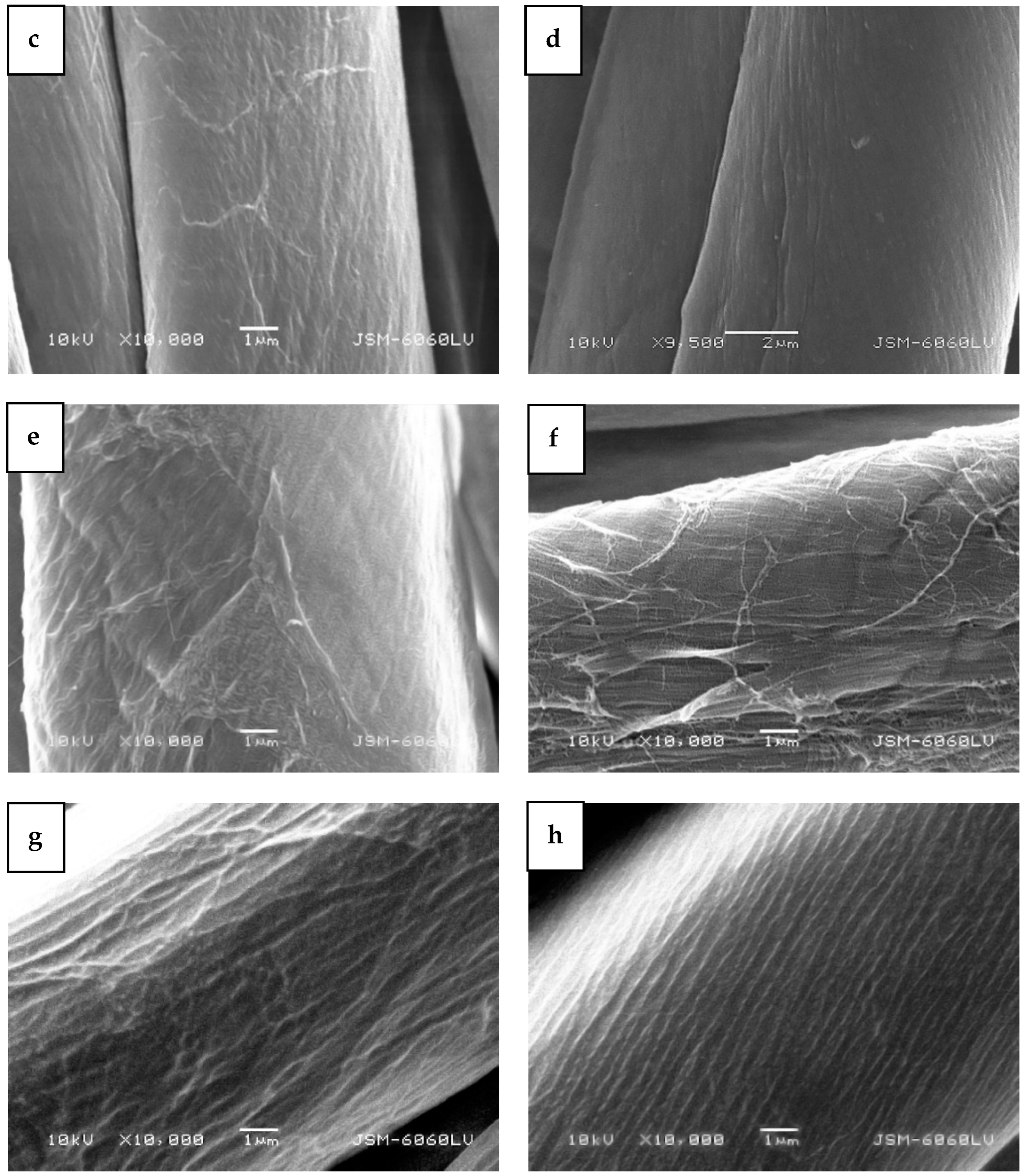 Molecules 29 05009 g002b