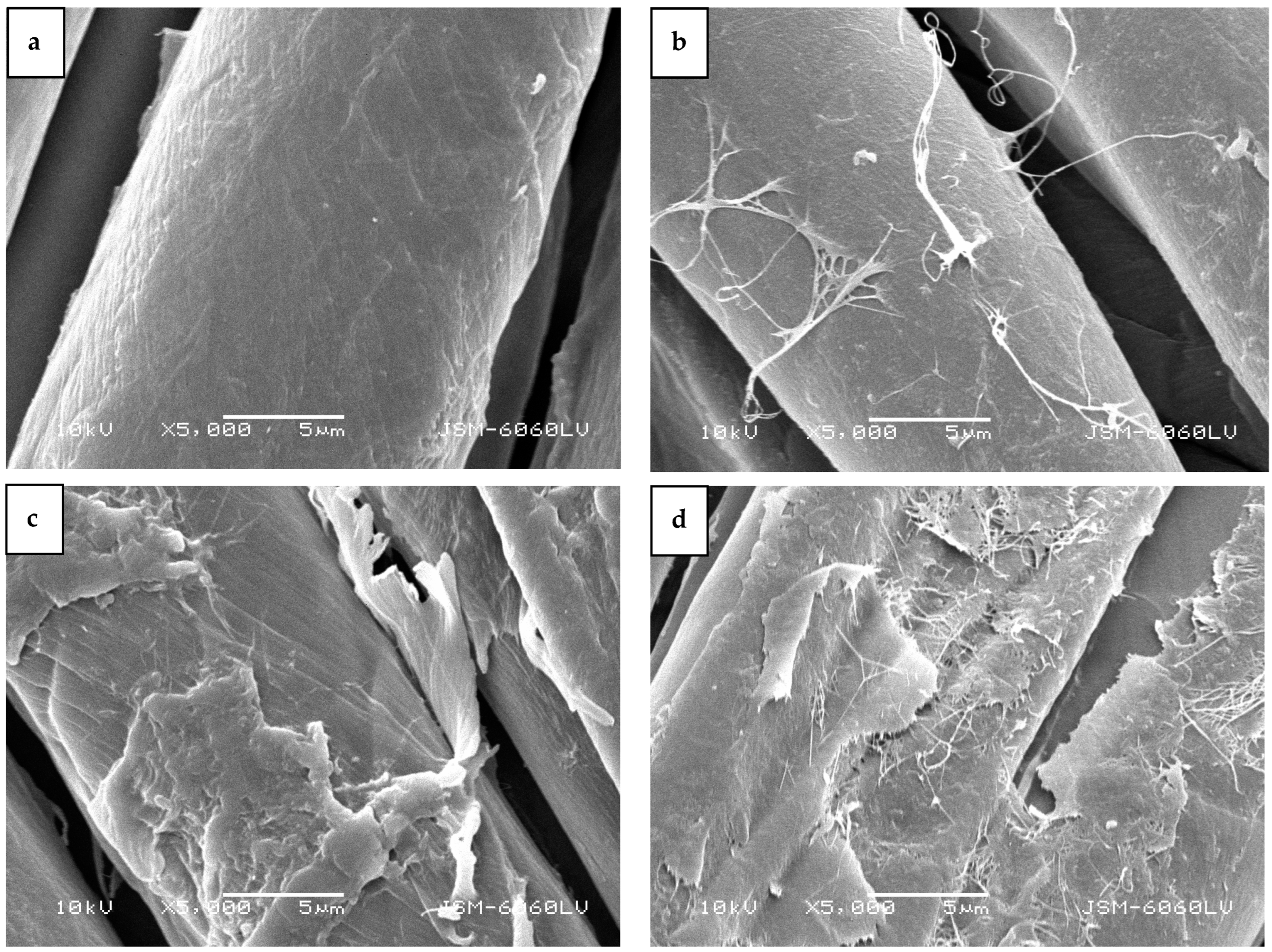 Molecules 29 05009 g006