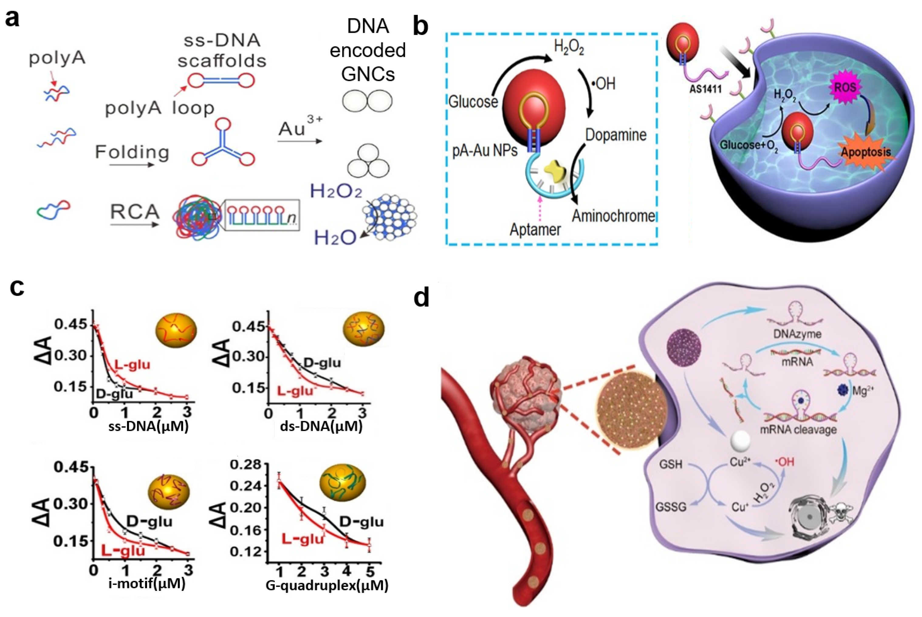 Molecules 29 05011 g008