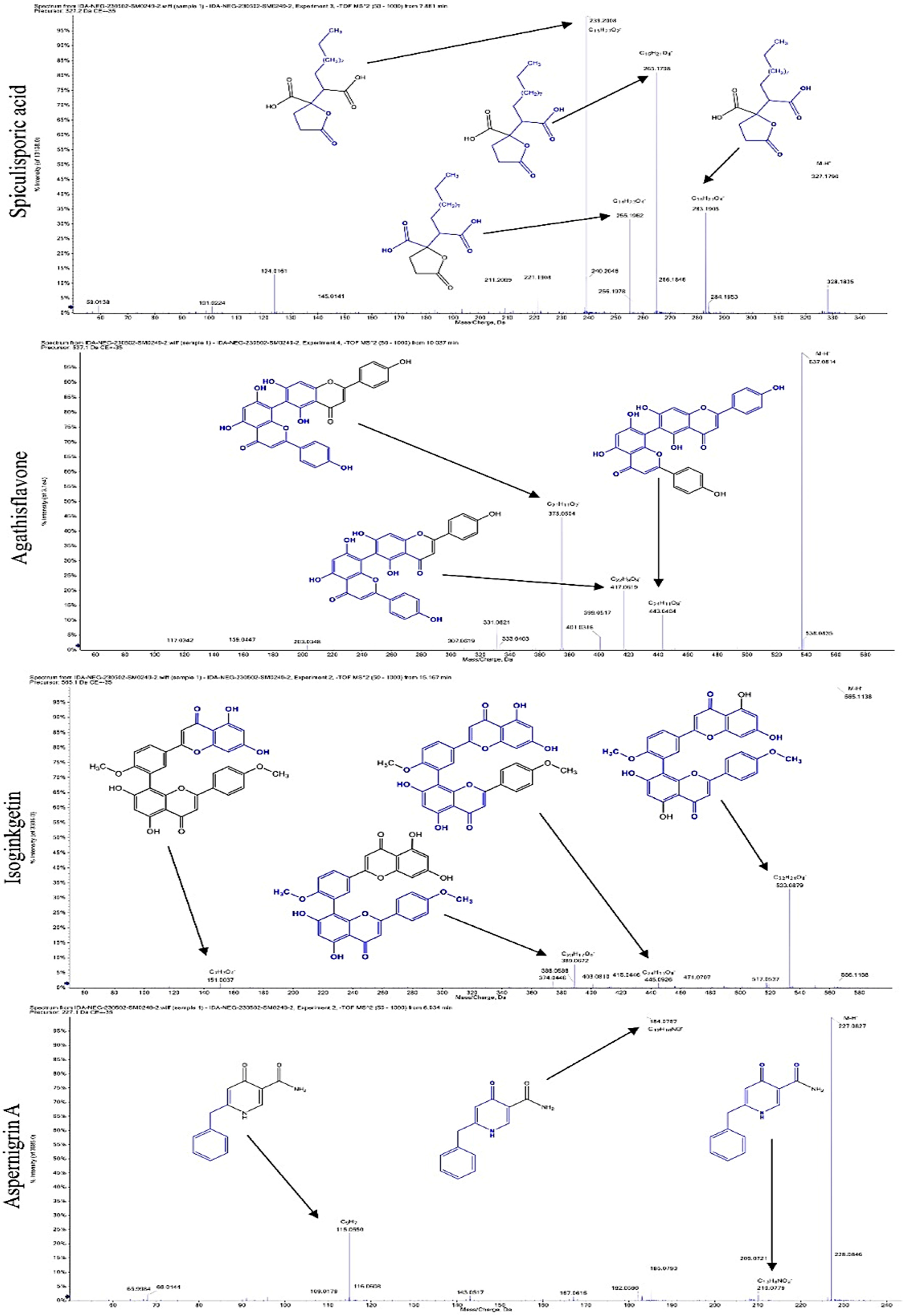 Molecules 29 05013 g001