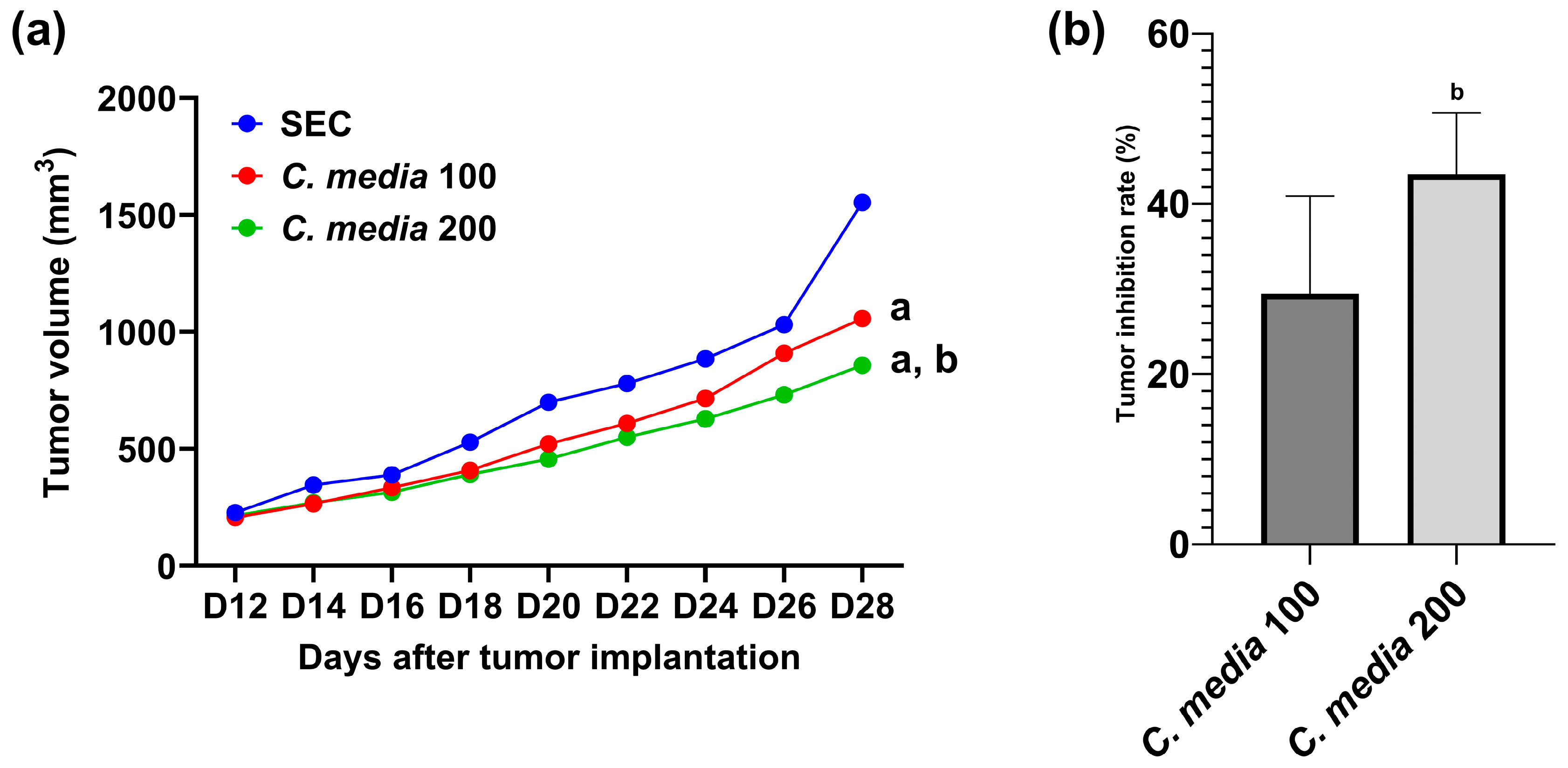 Molecules 29 05013 g004