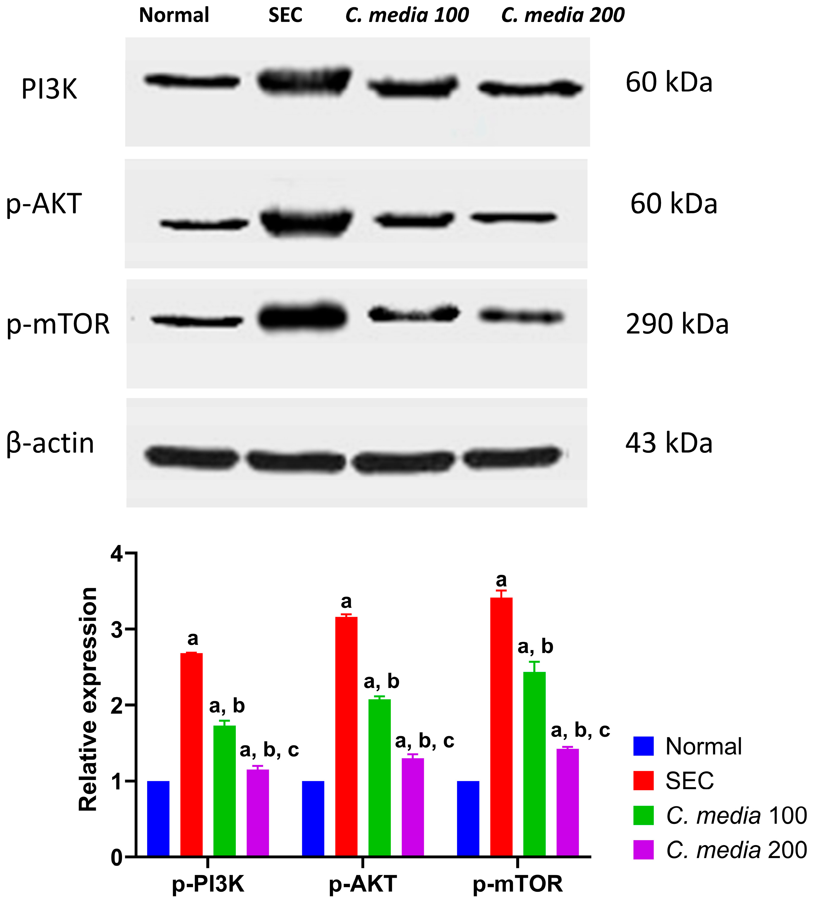 Molecules 29 05013 g007