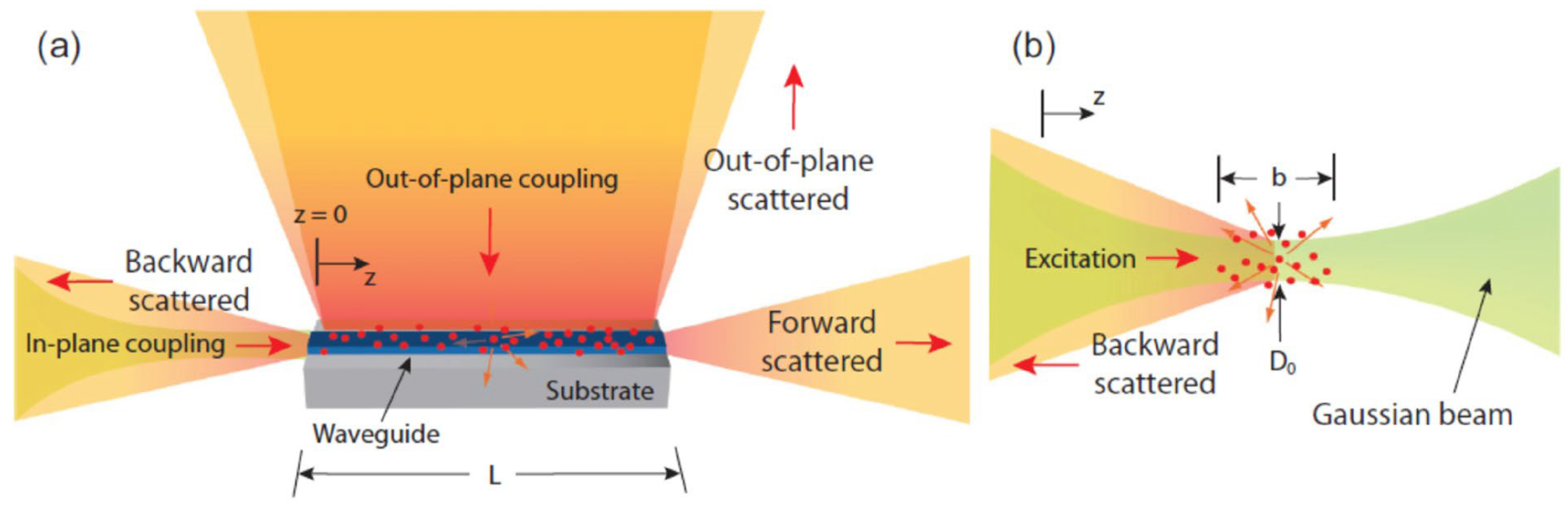 Molecules 29 05014 g006