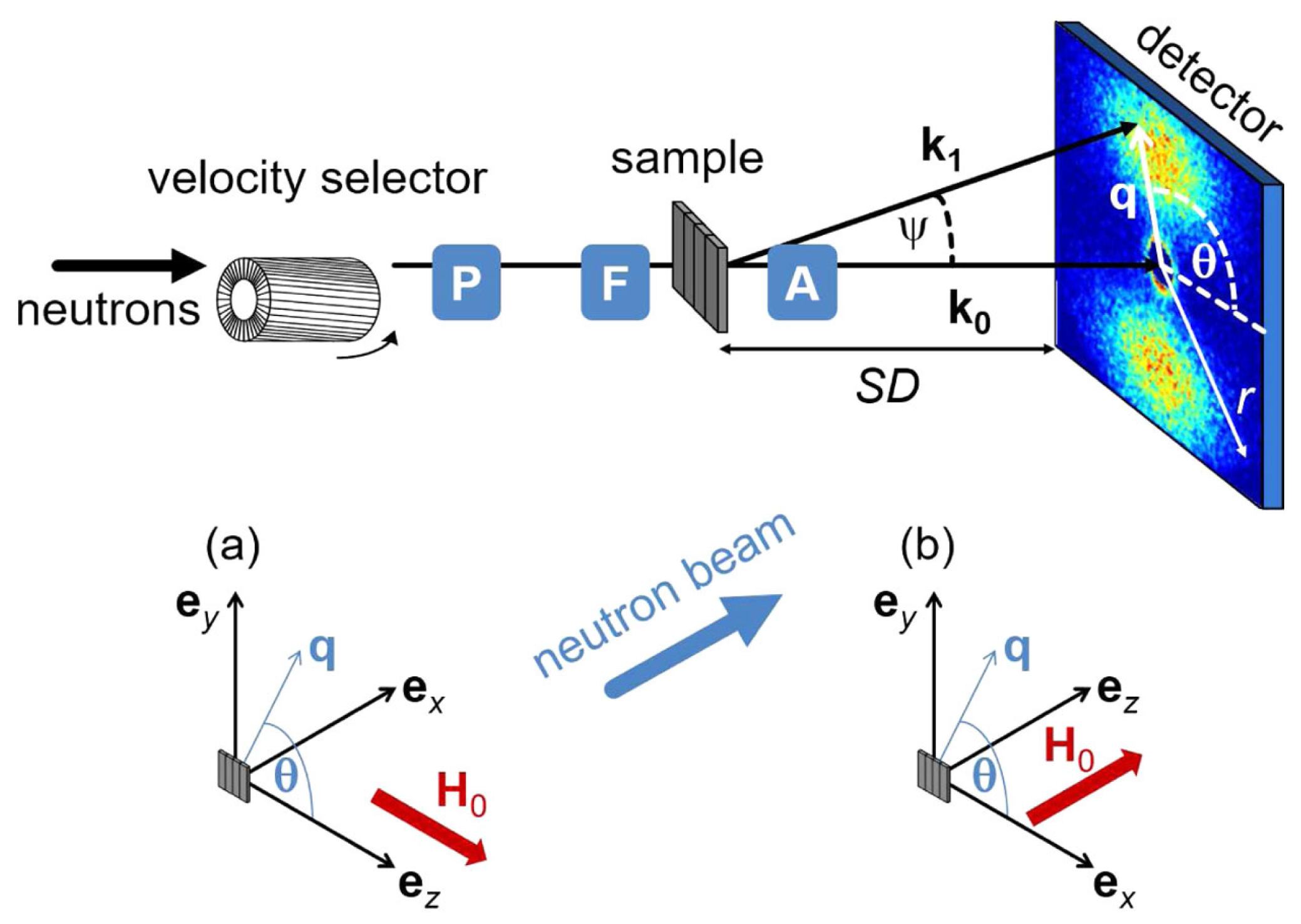 Molecules 29 05014 g011