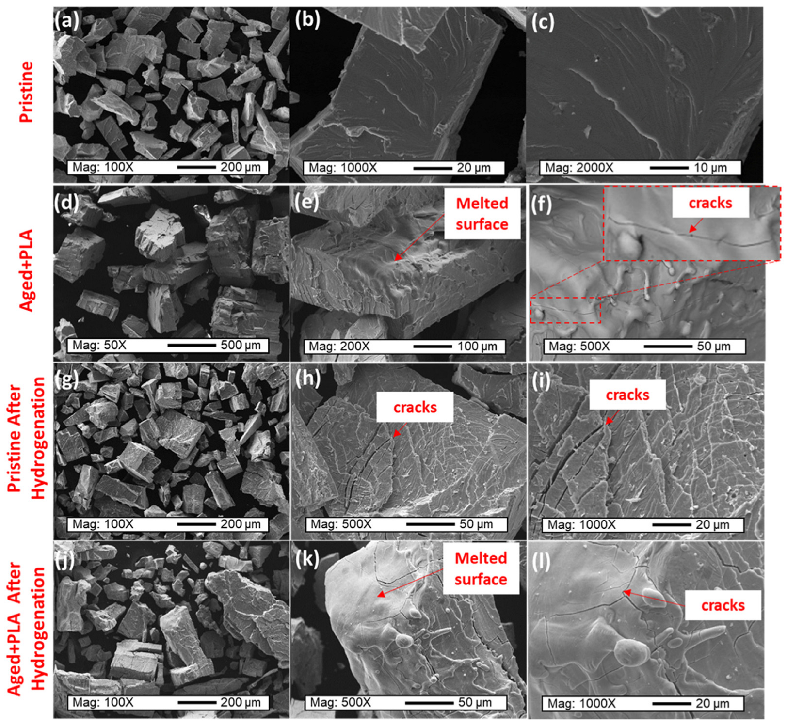 Molecules 29 05014 g015