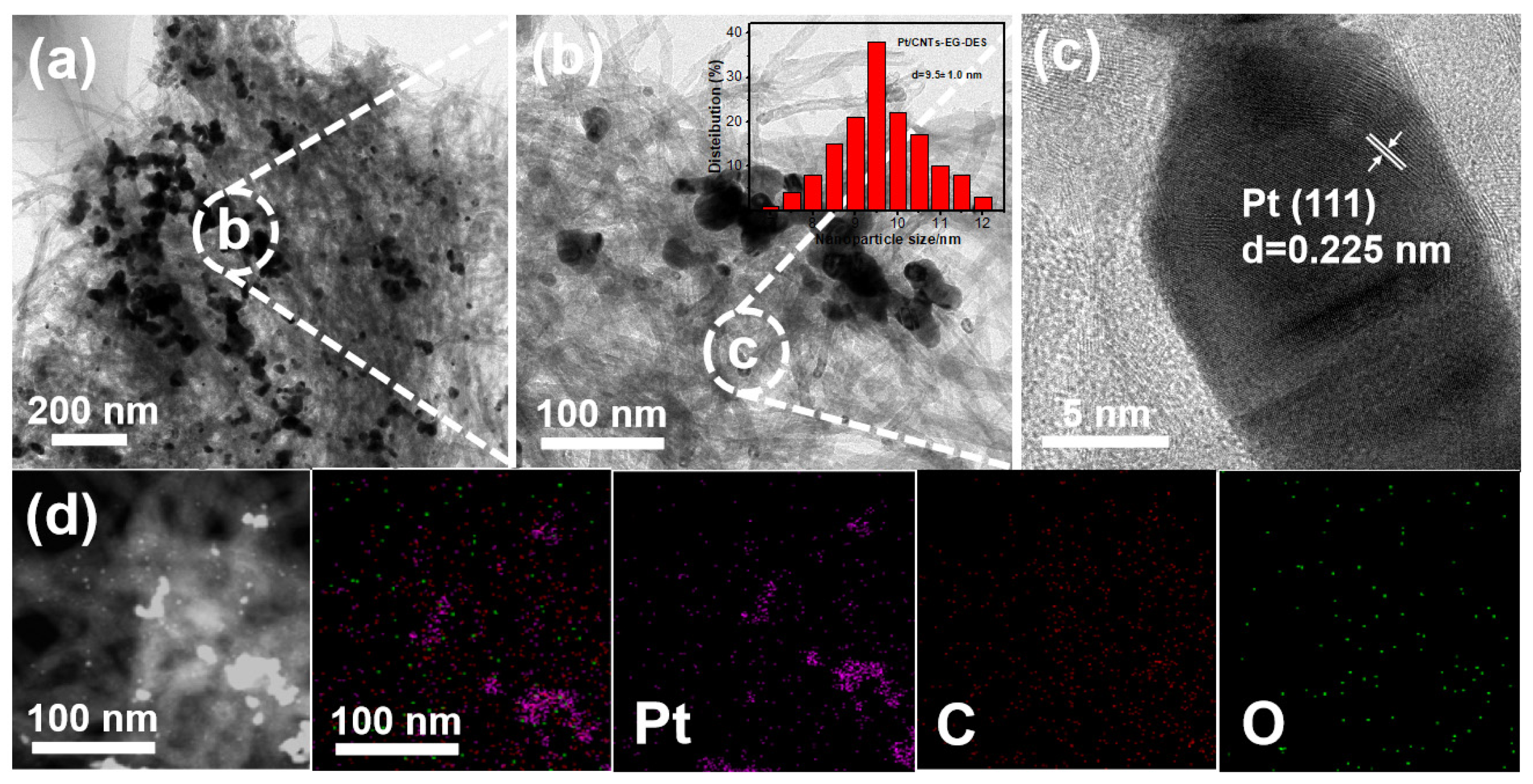 Molecules 29 05015 g002