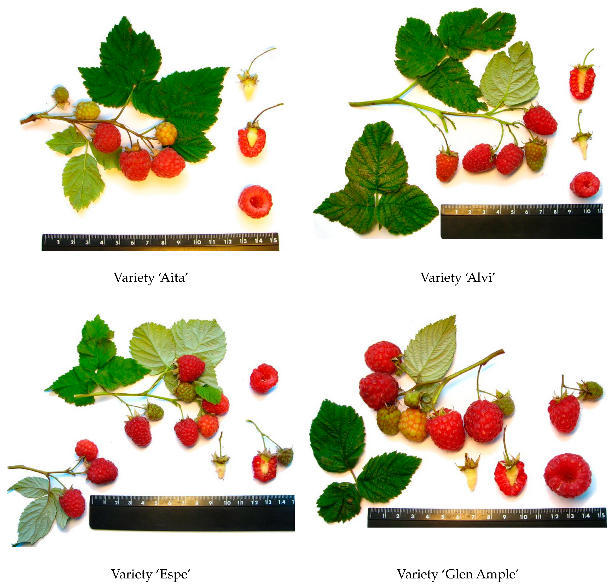 Molecules 29 05016 g0a1a
